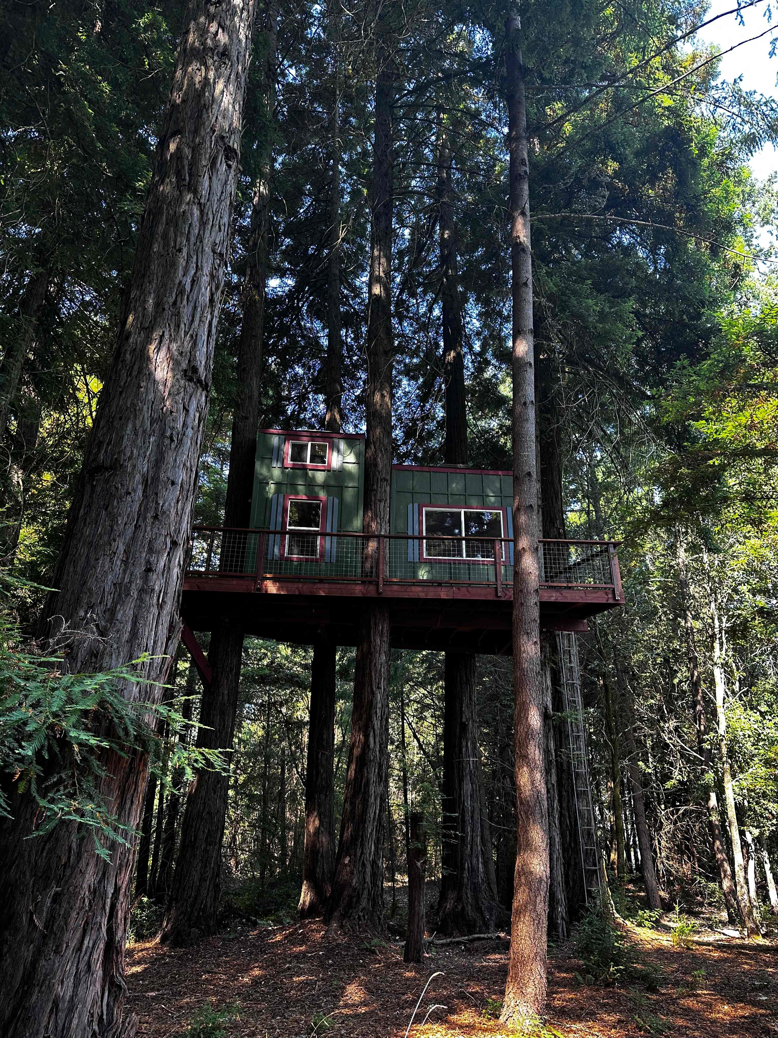 Redwood and knotty pine hand crafted 31' high tree cabin accessible by ladder only for those 18 years and older. There is a portable toilet on the wraparound deck and an electric luggage lift to get your gear up there safely. It has power and heat and a coffee maker, mini fridge, coffee, and tea. Also some cozy hooded rubs to make your way down to the hot tub in.