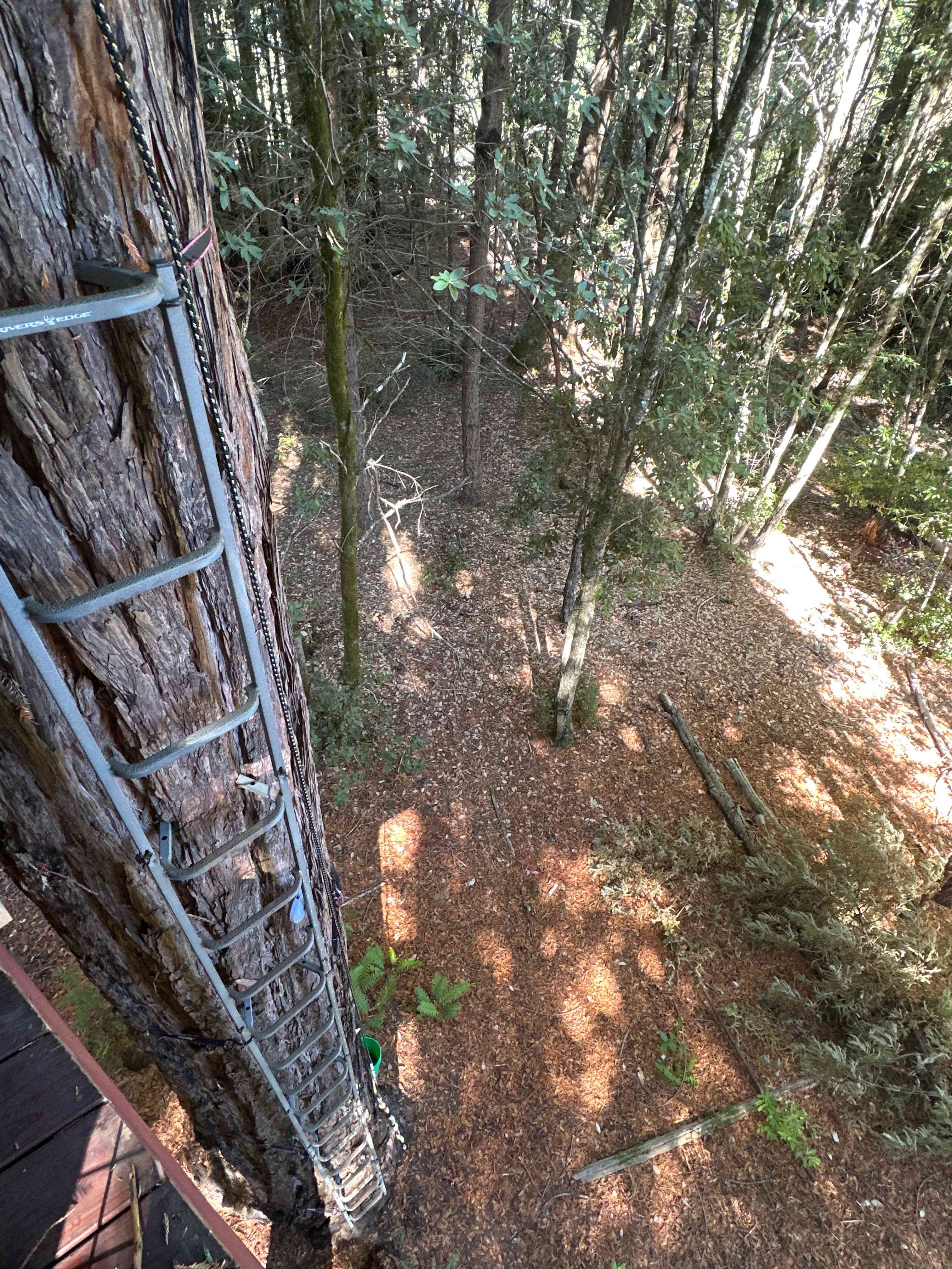 Moon Bear Lodge
