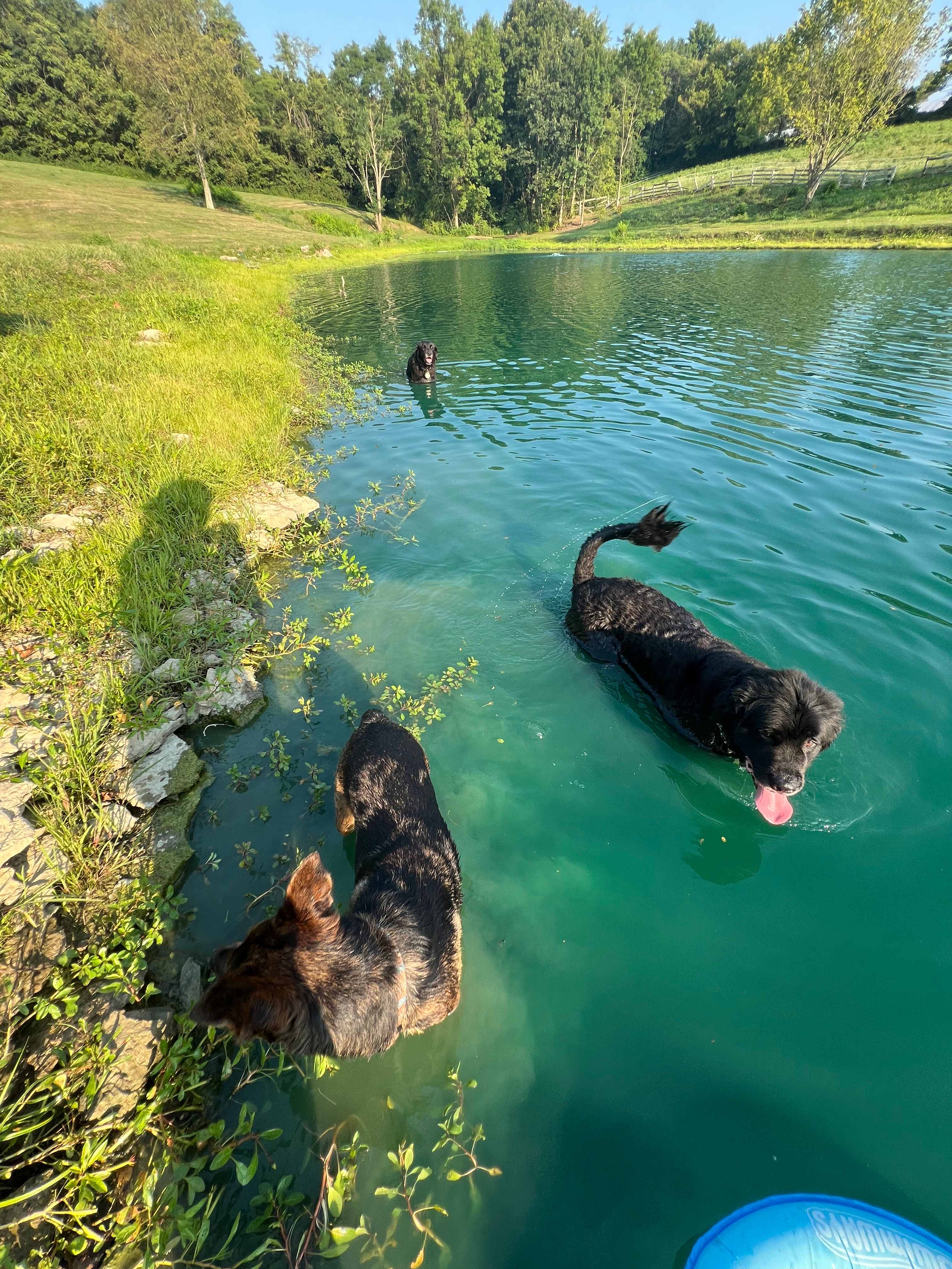 Kripple Creek Ranch