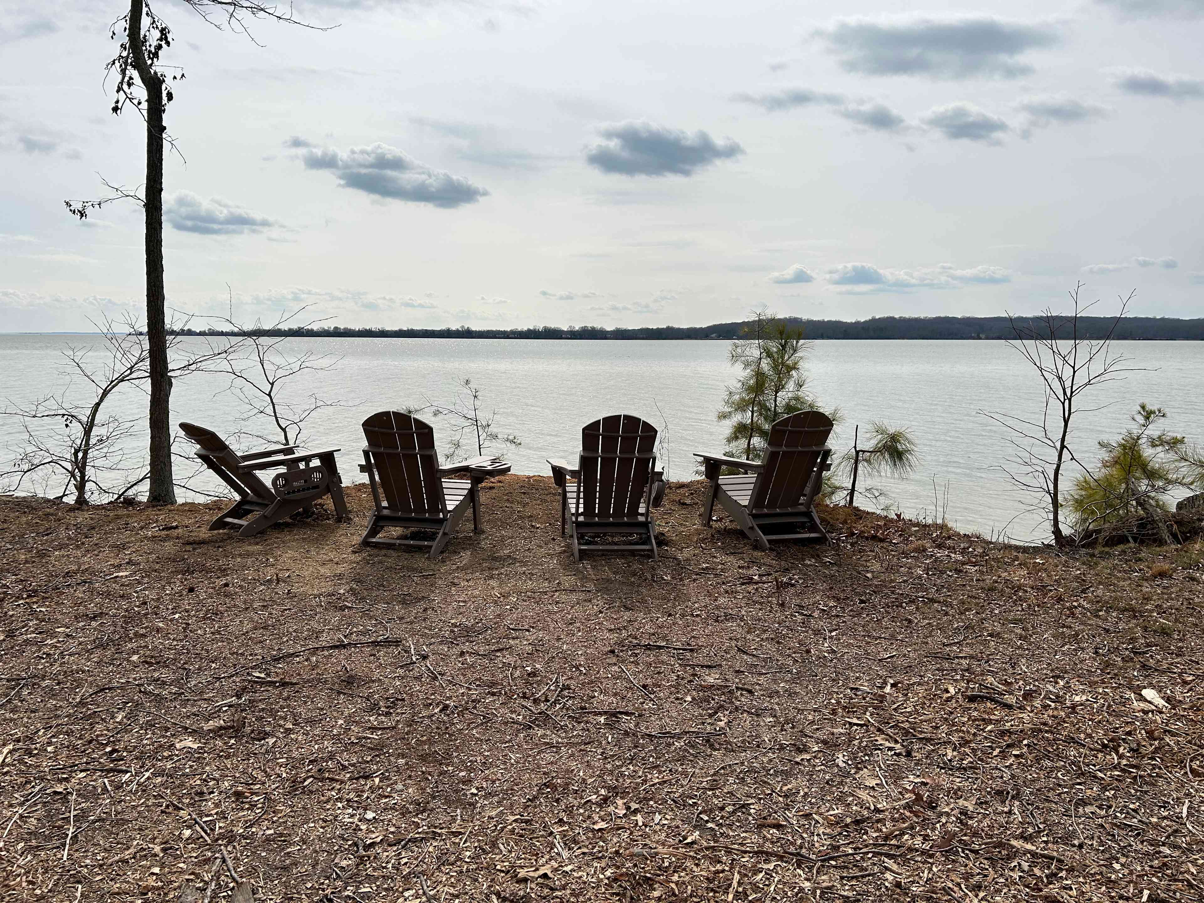 Breezy View