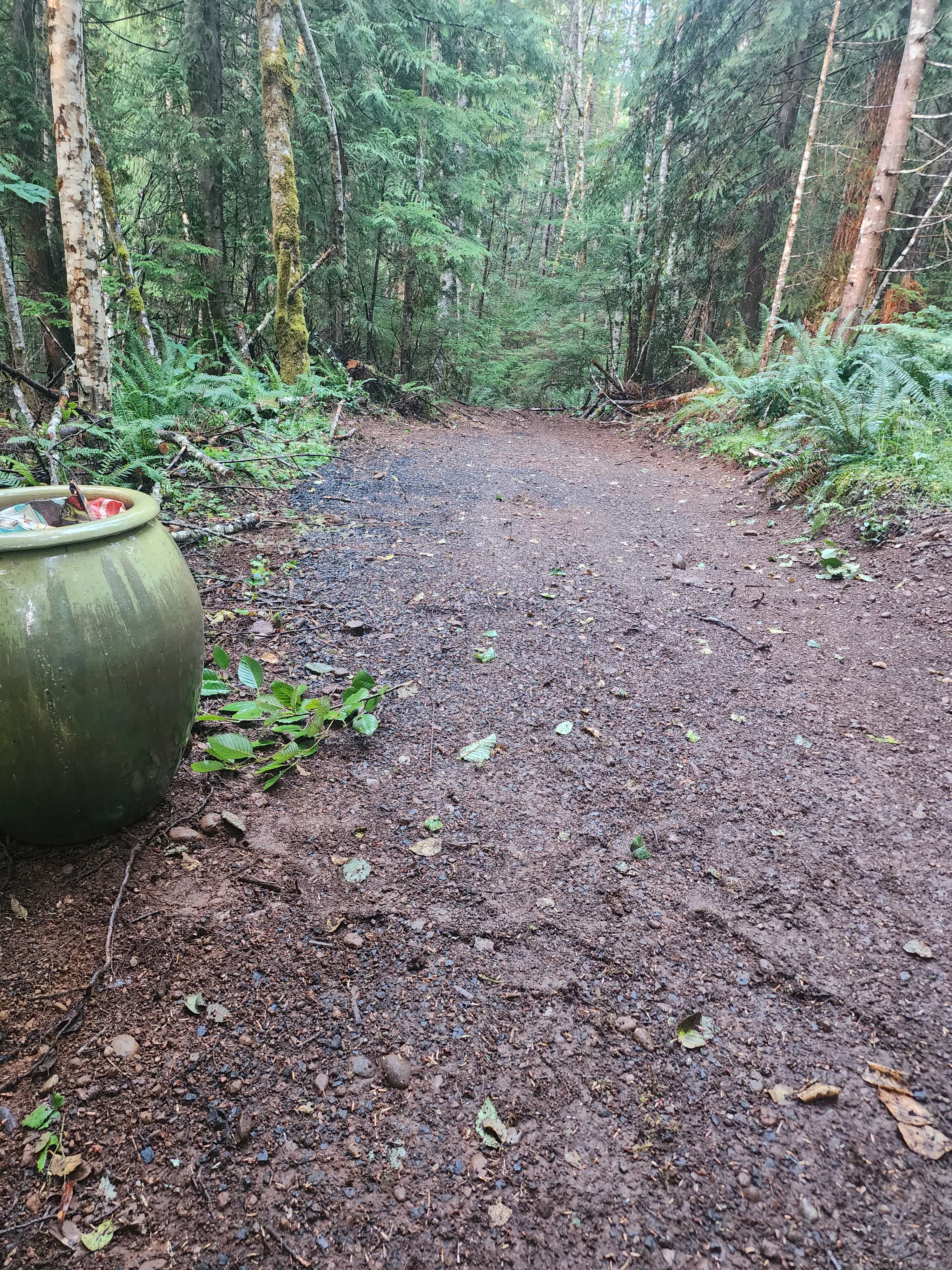 The Feathered Refuge: Off-grid