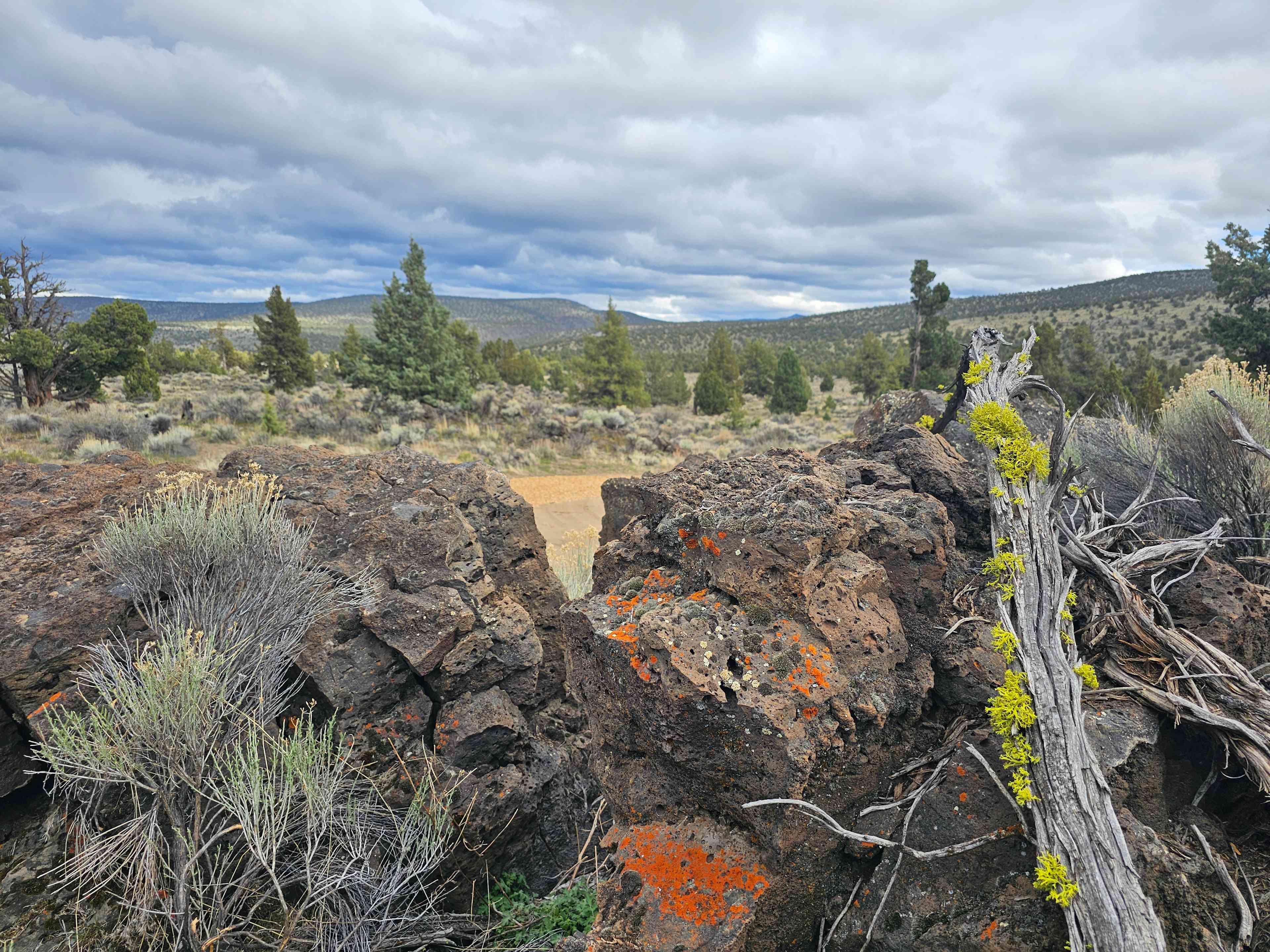 Sage Ridge