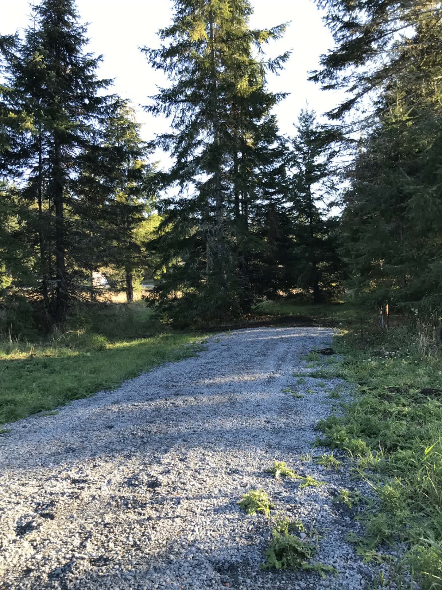 The Old Family Farm