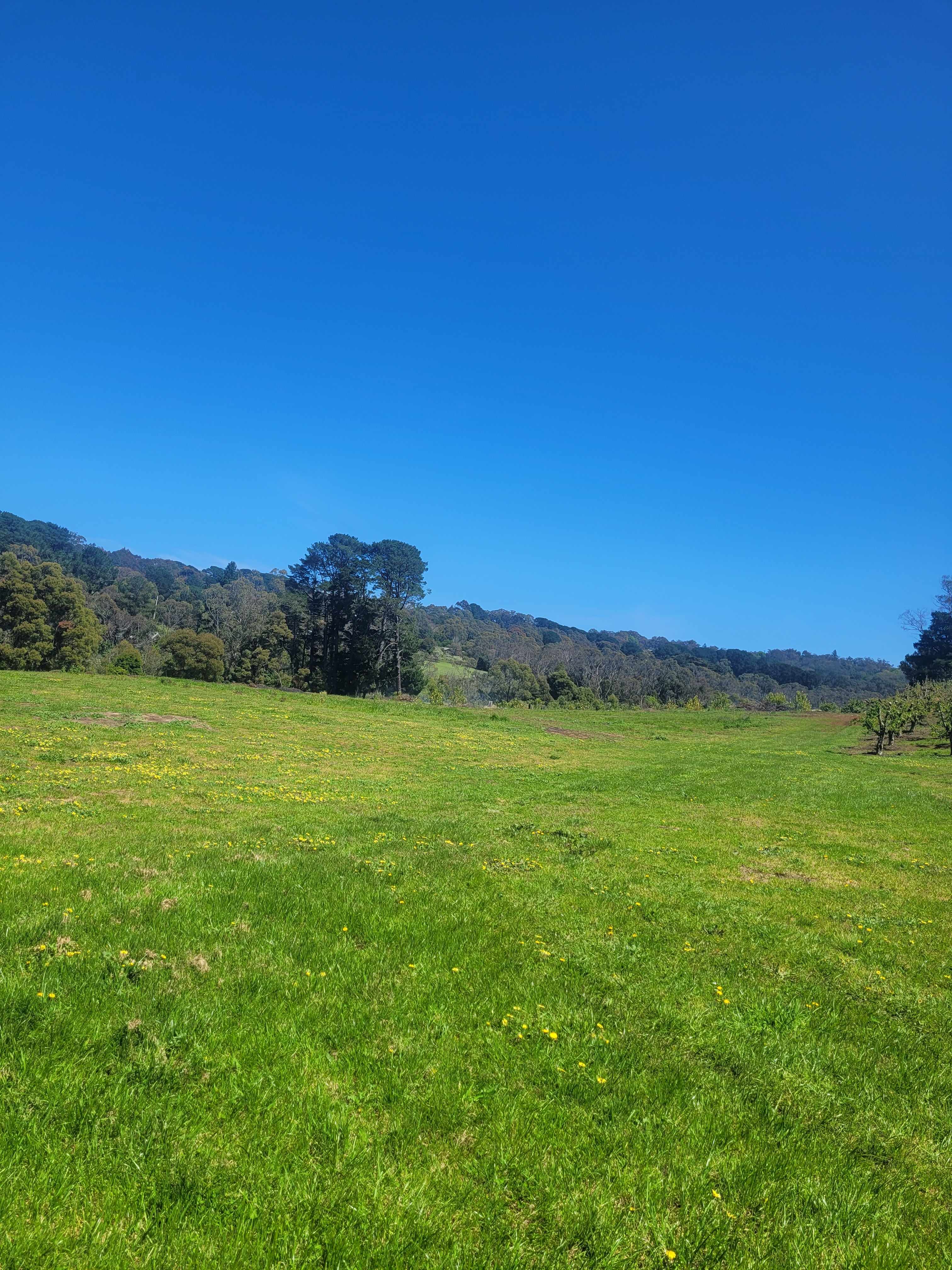 Red Hill Orchard Farm Stay