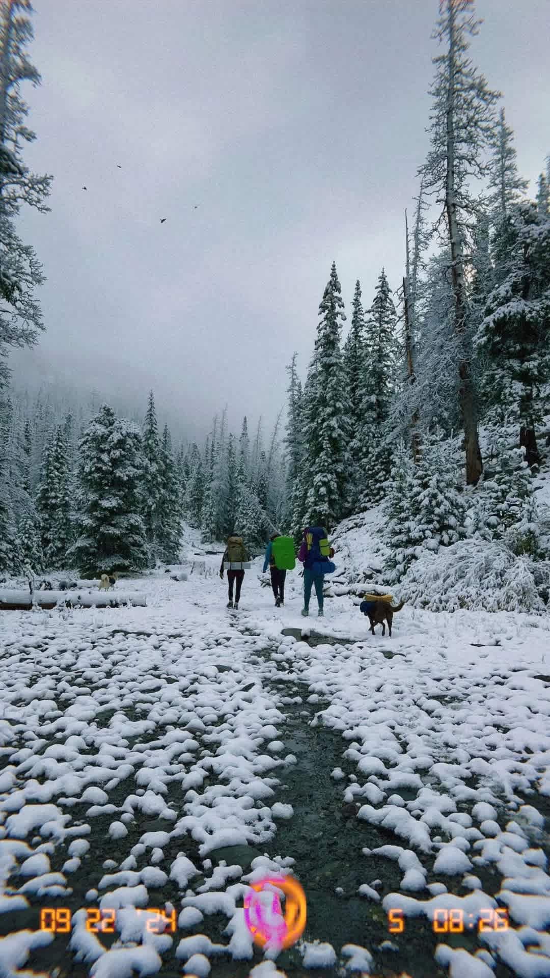 Boulder Chicken Ranch