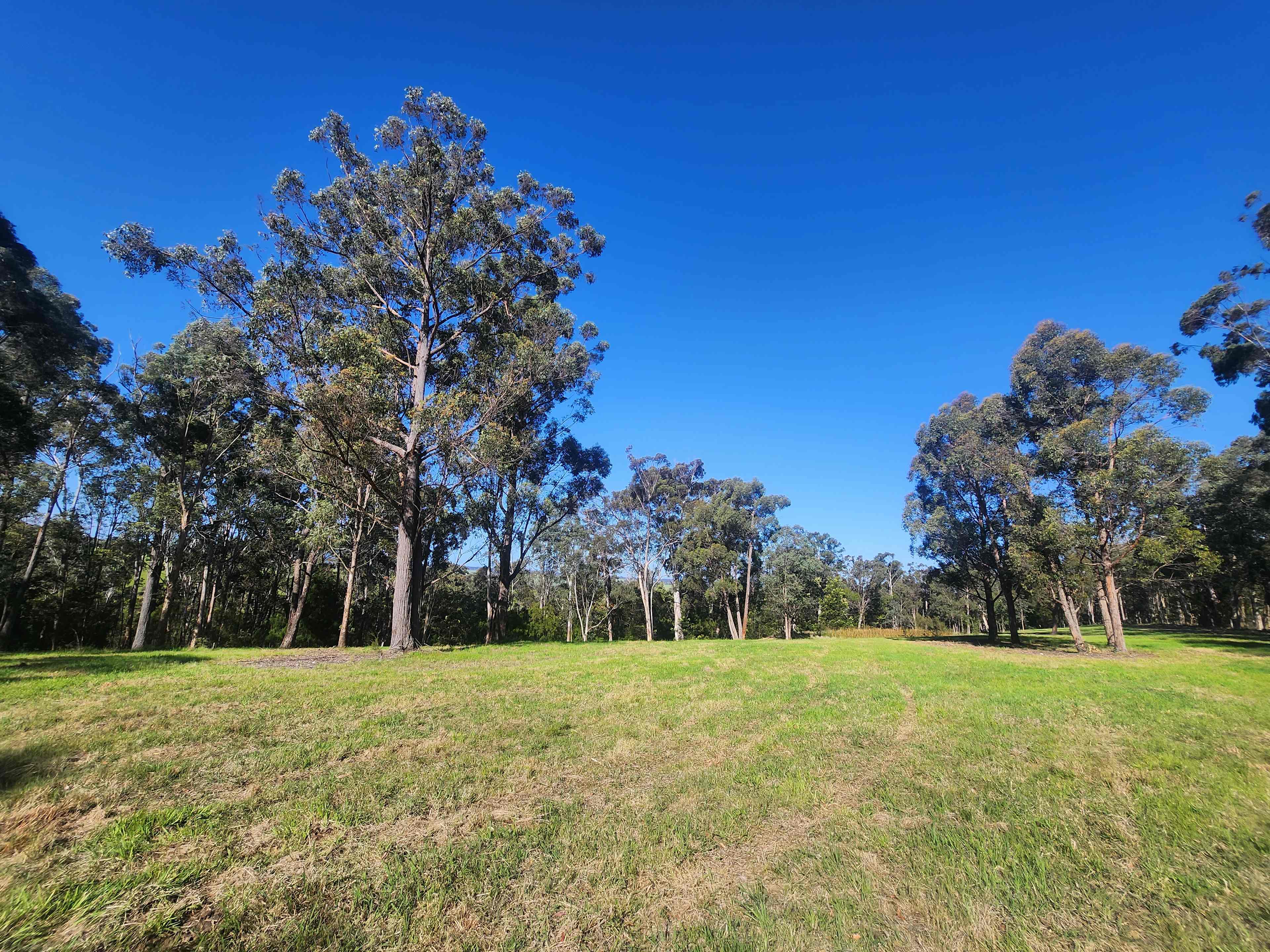 Tambo Trailside Paddock