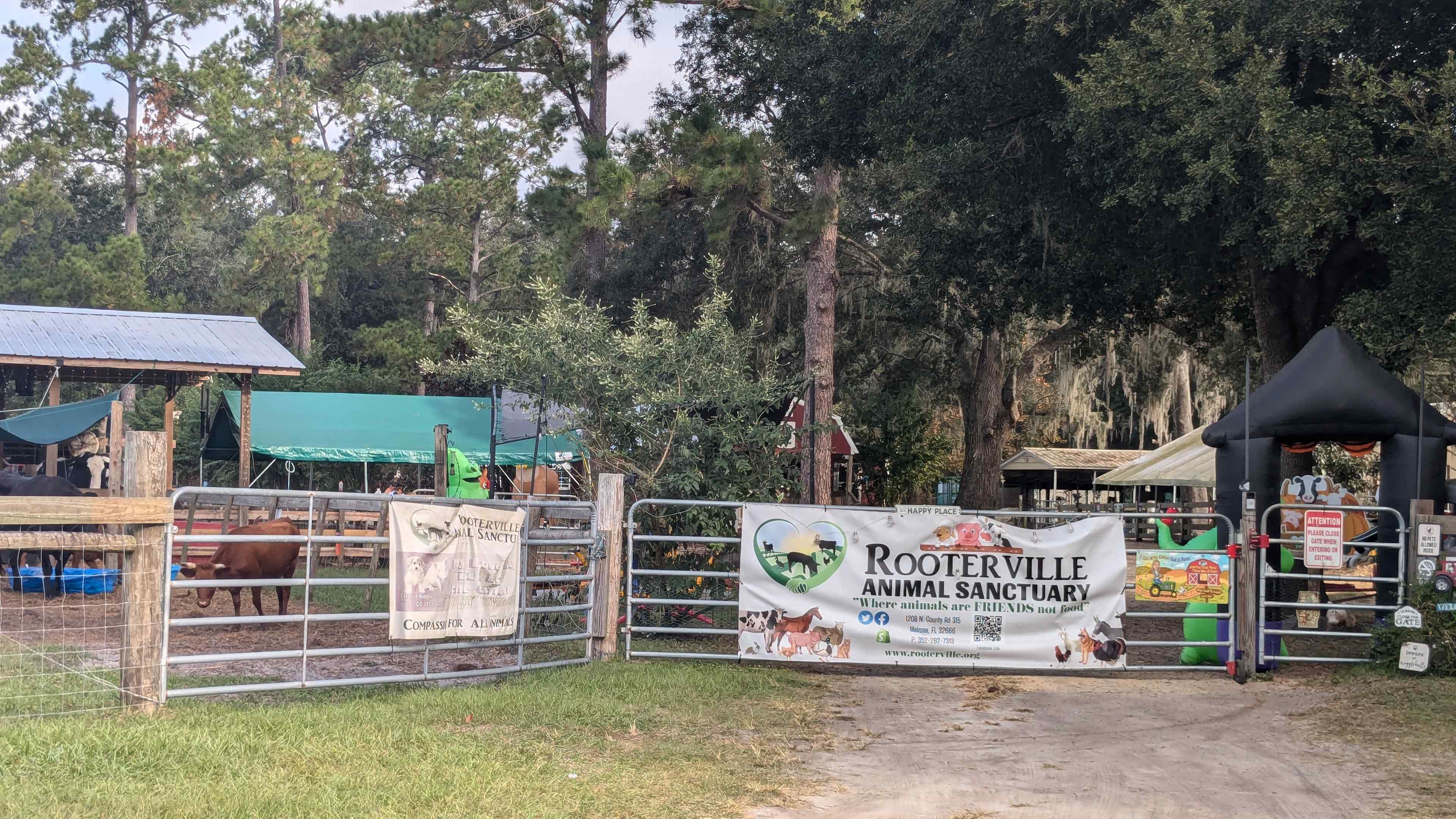 THE Farmstay for Animal Lovers!