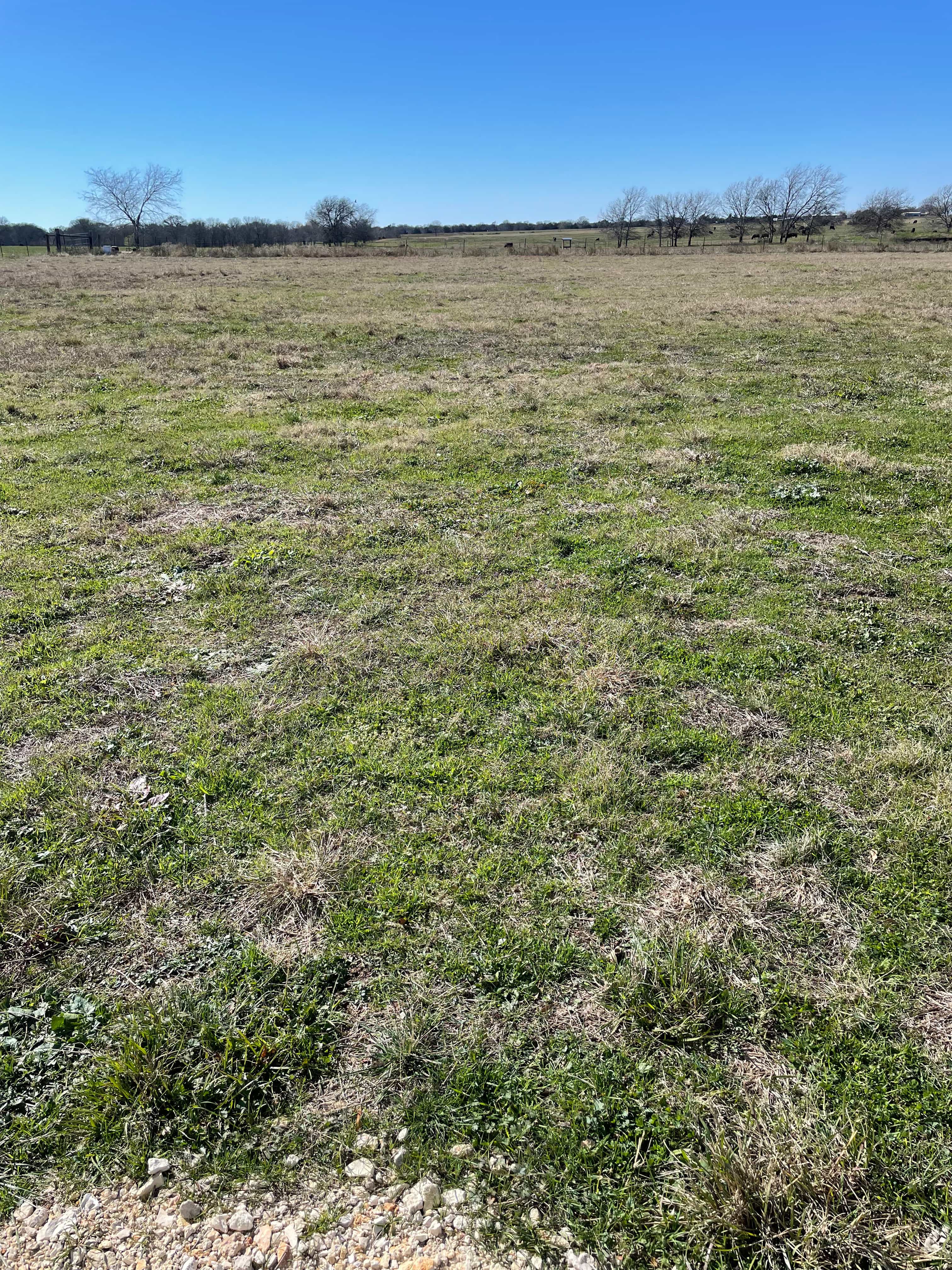 McDonald Ranch