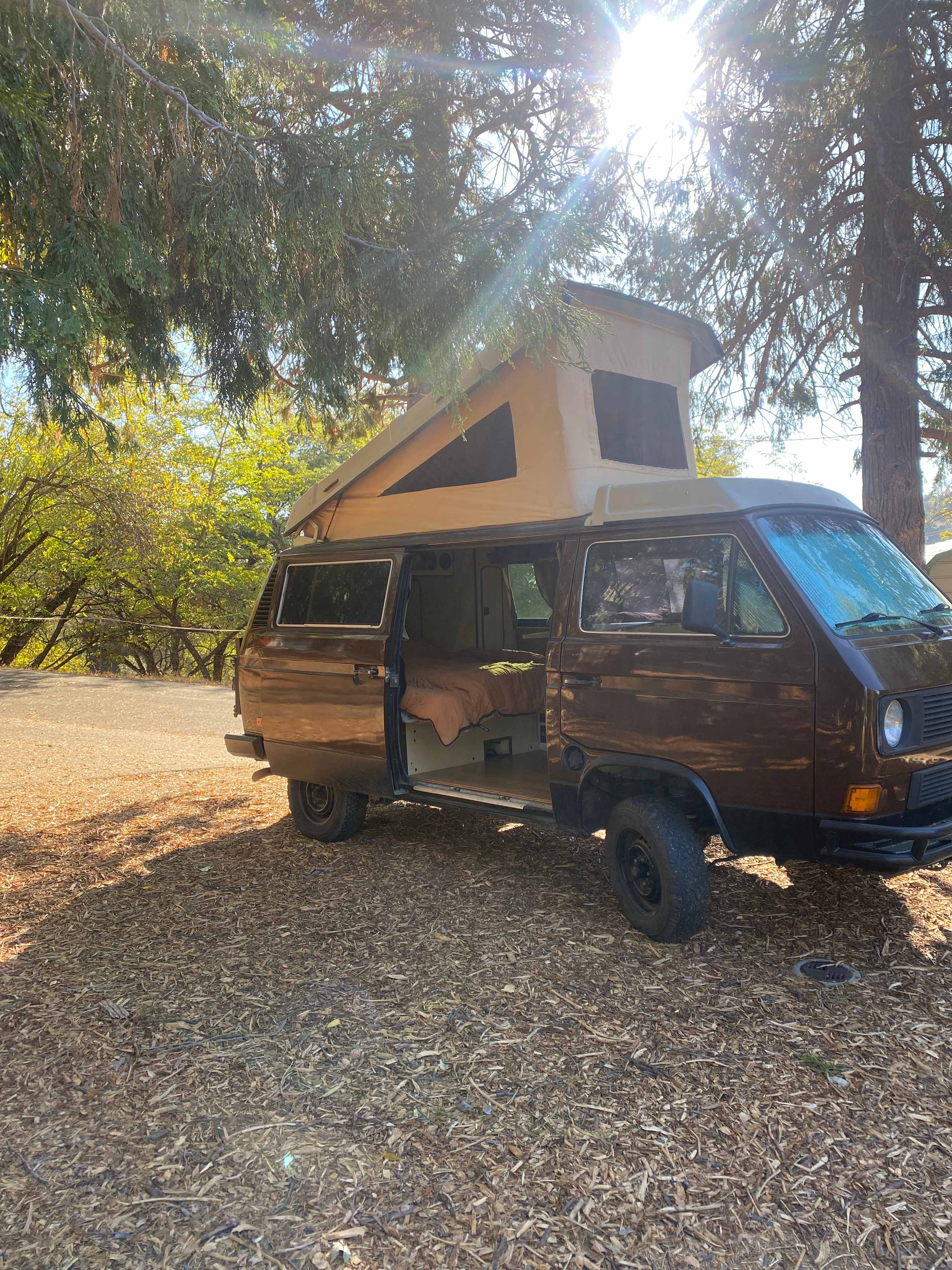 Camp Electra