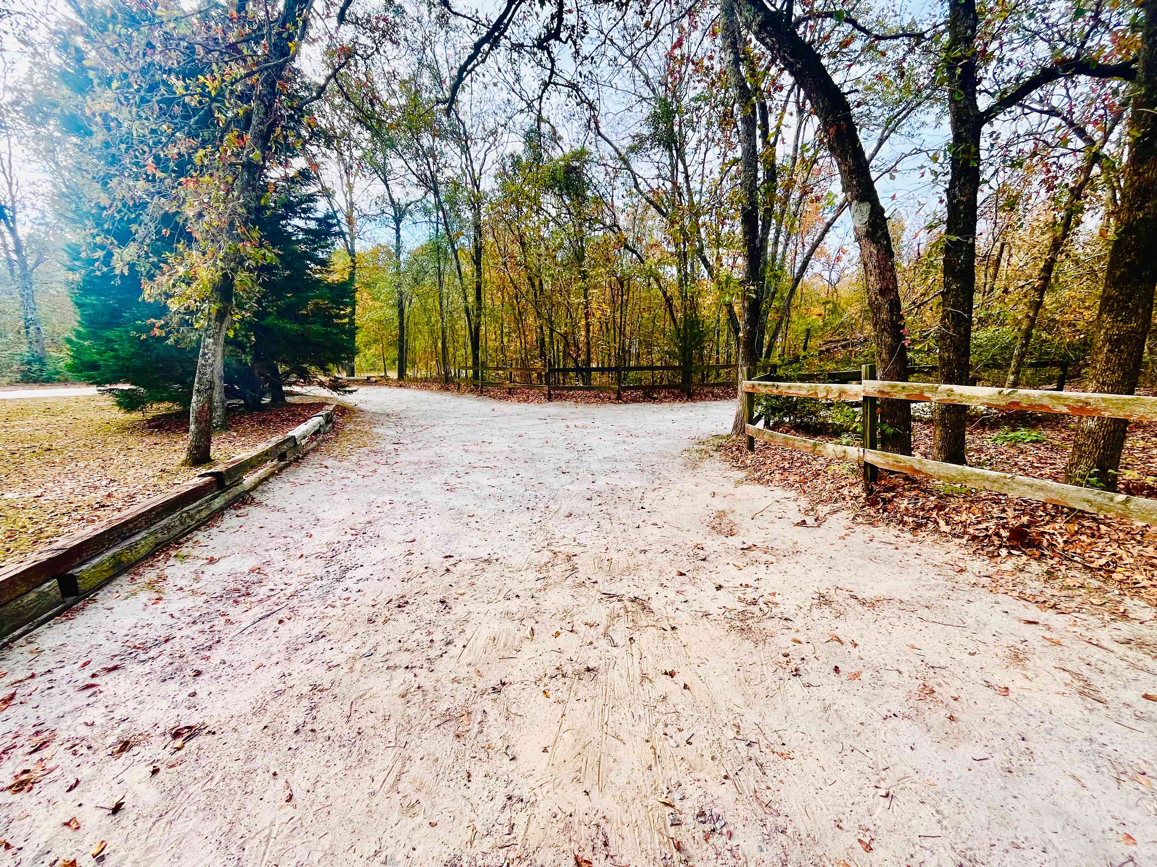 Driveway leading to the RV site