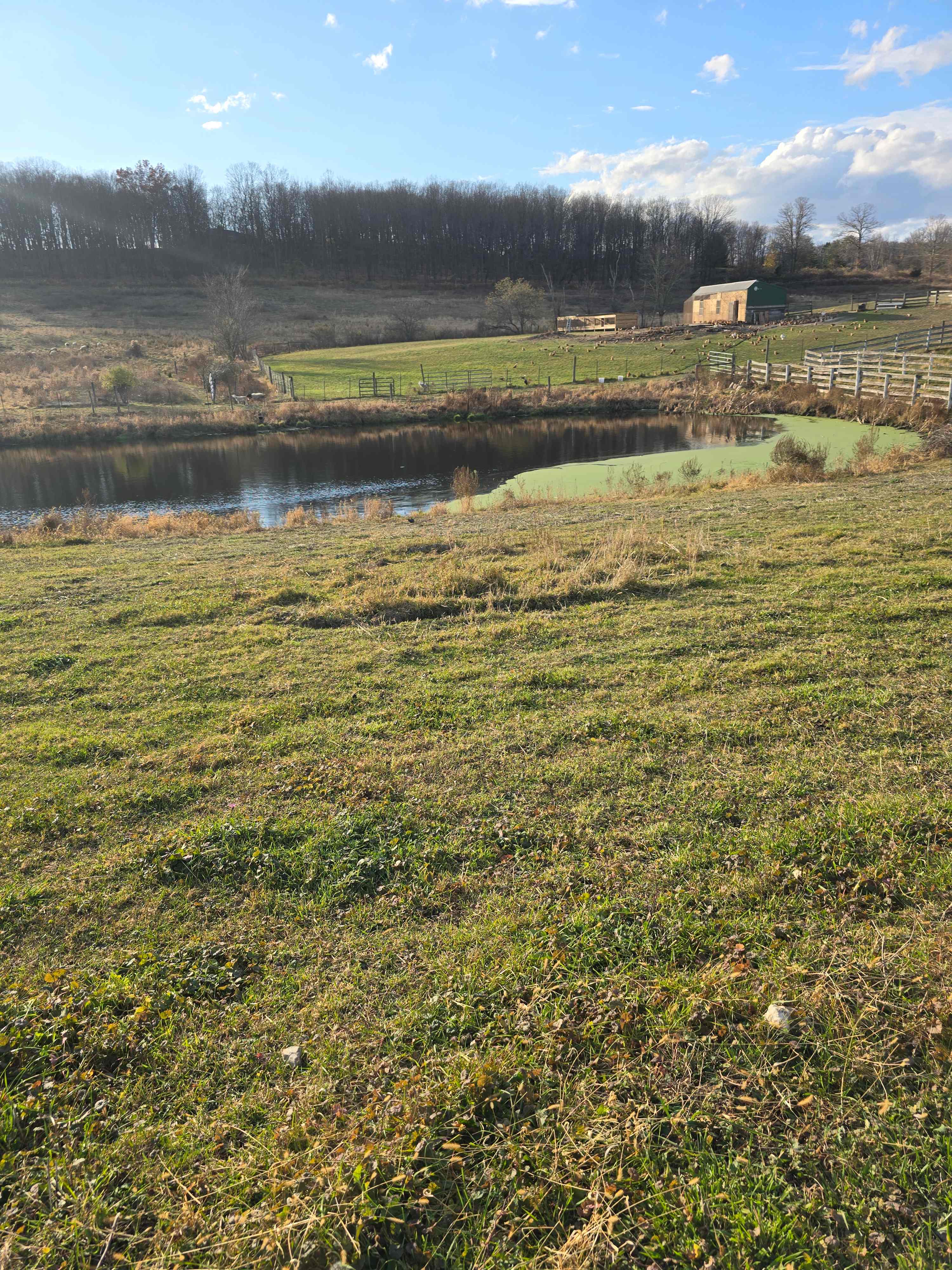 Farm Life and Countryside