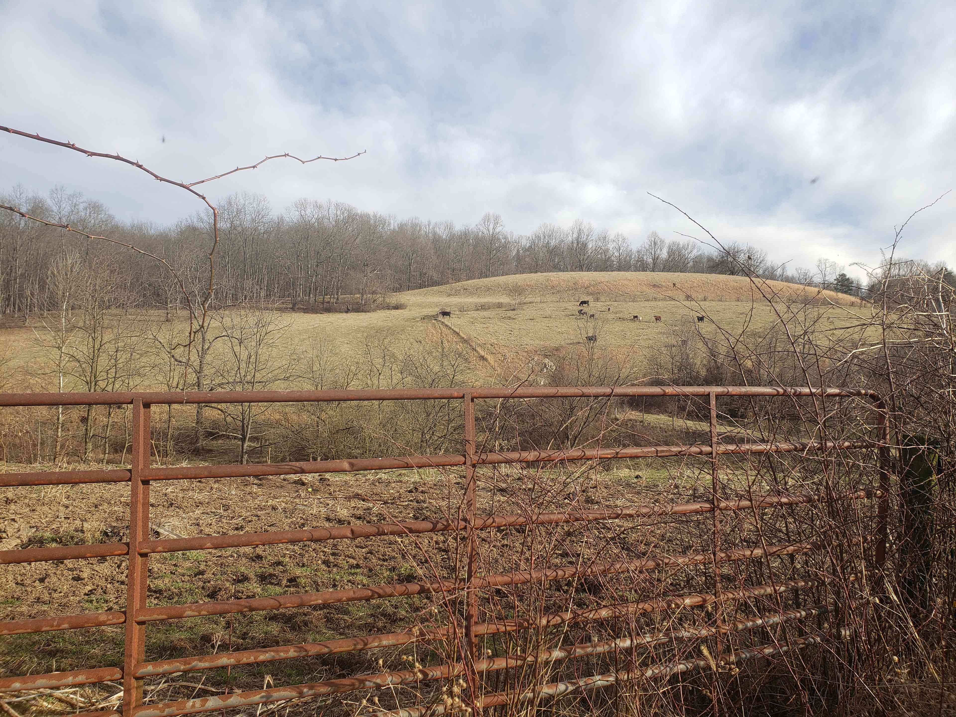 Salem Springs at Dexter Run Farms