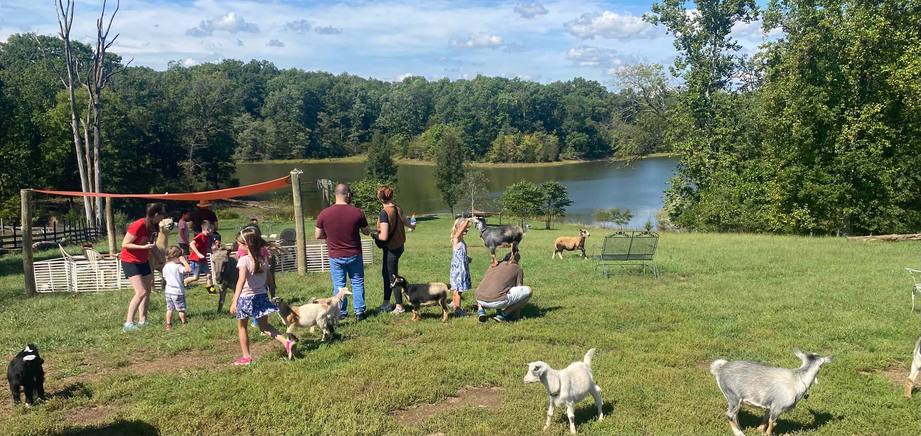 Little Goat Farm at the Lake