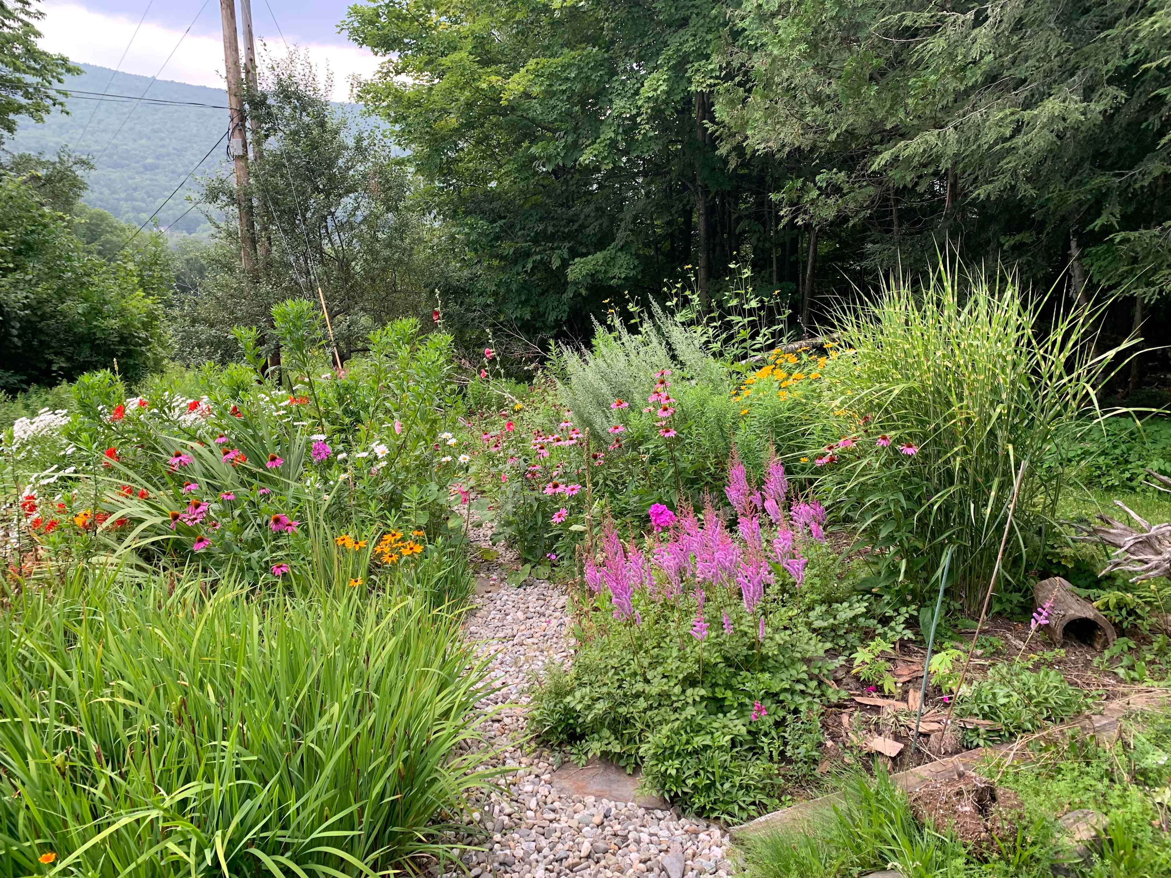 The best forest glamping near Essex Junction, Vermont