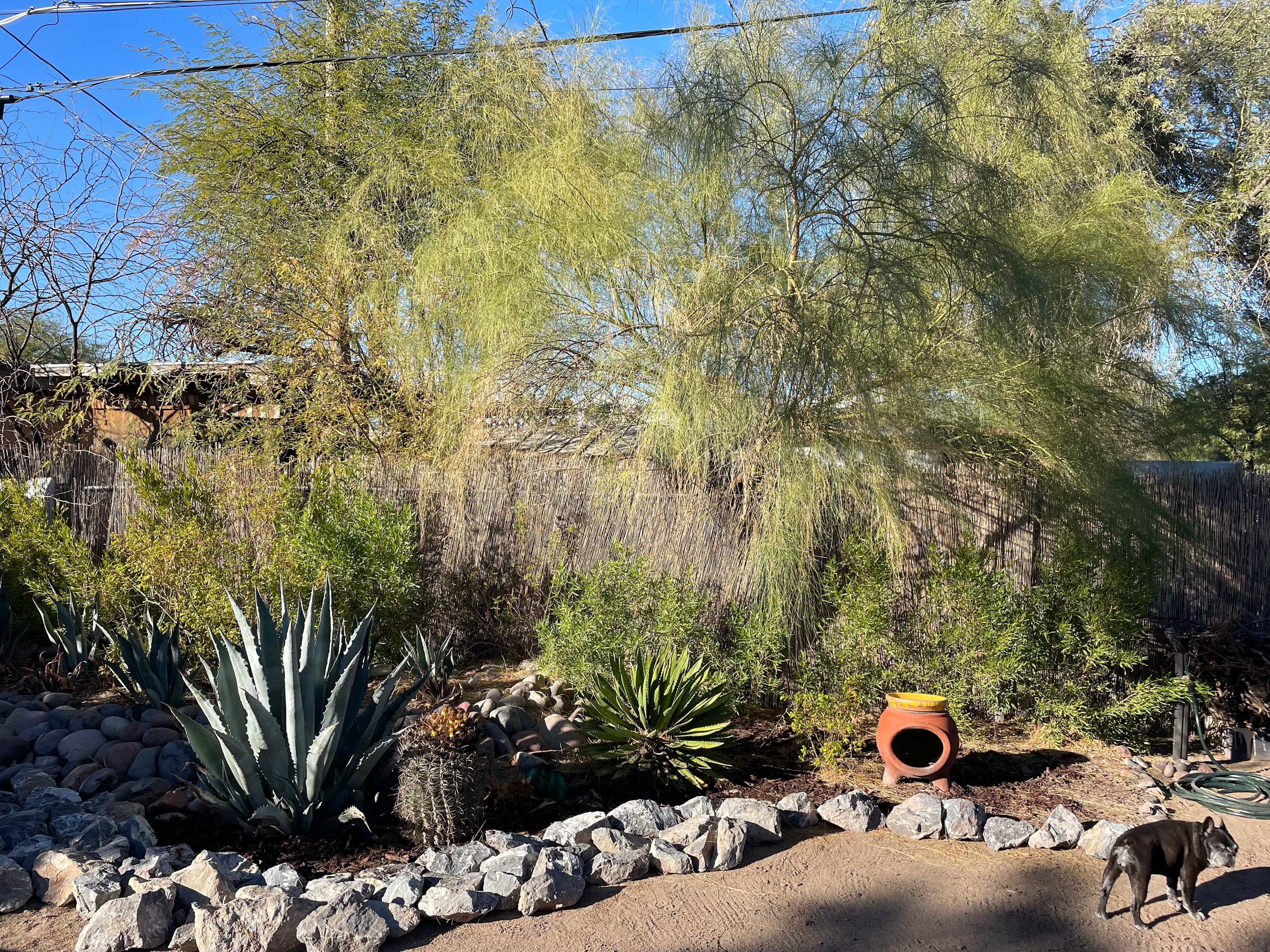 RV pad is tucked into the property, allowing you and your group privacy.  