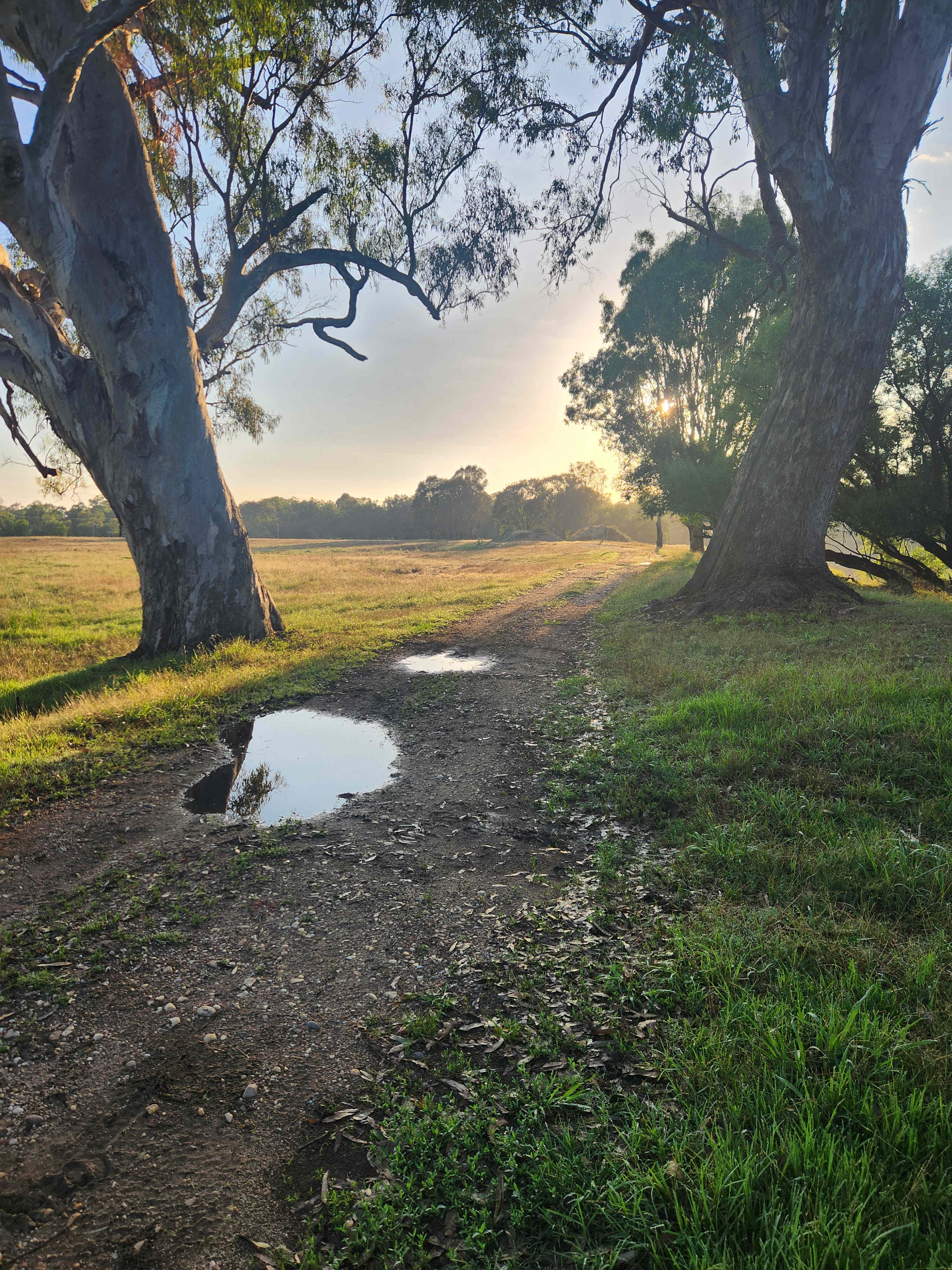 Willowbank on the Murray