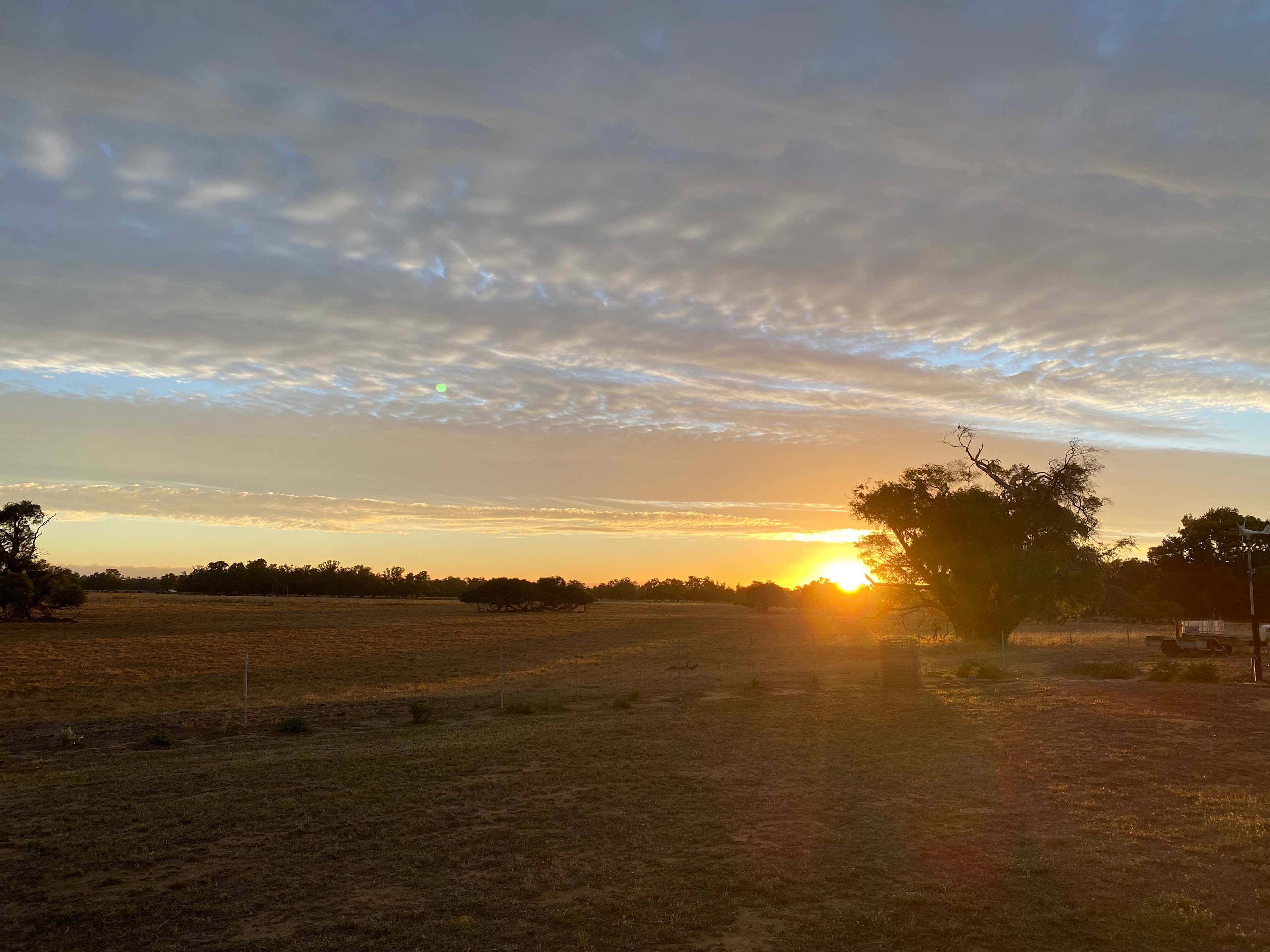 Rural peace in Vasse, Busselton