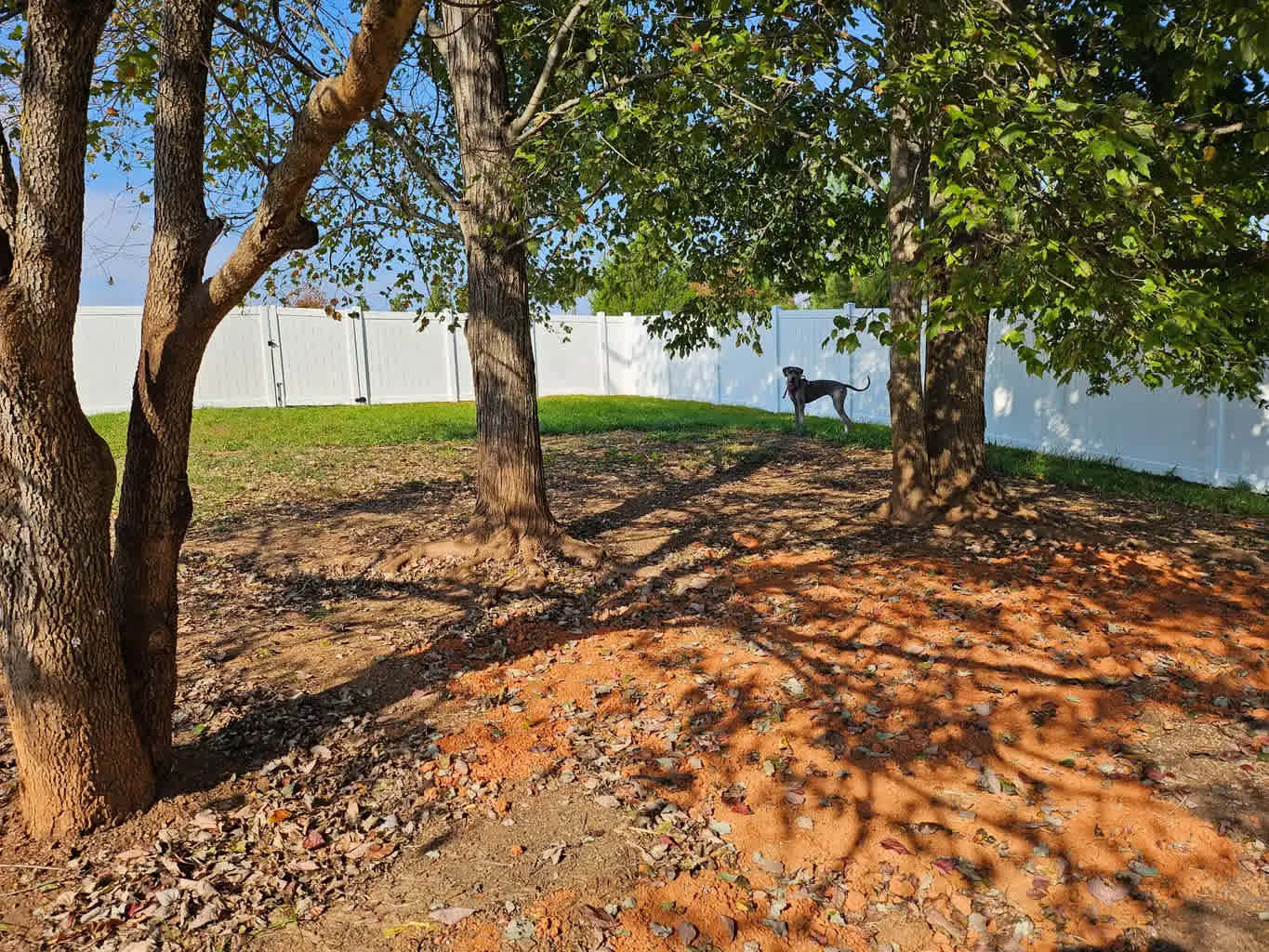 🌲 Welcome To Southern Love Farm