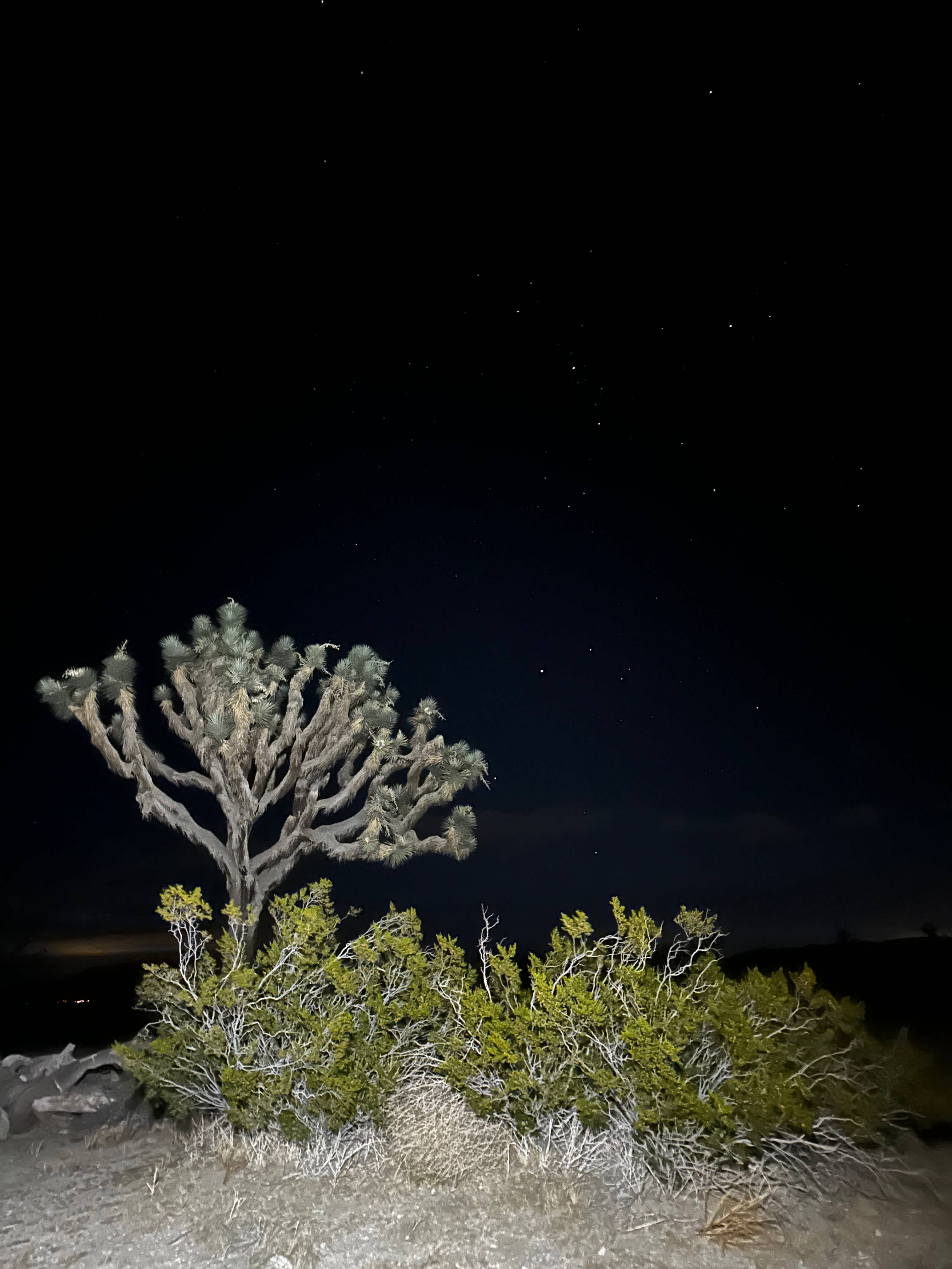 Star Ranch