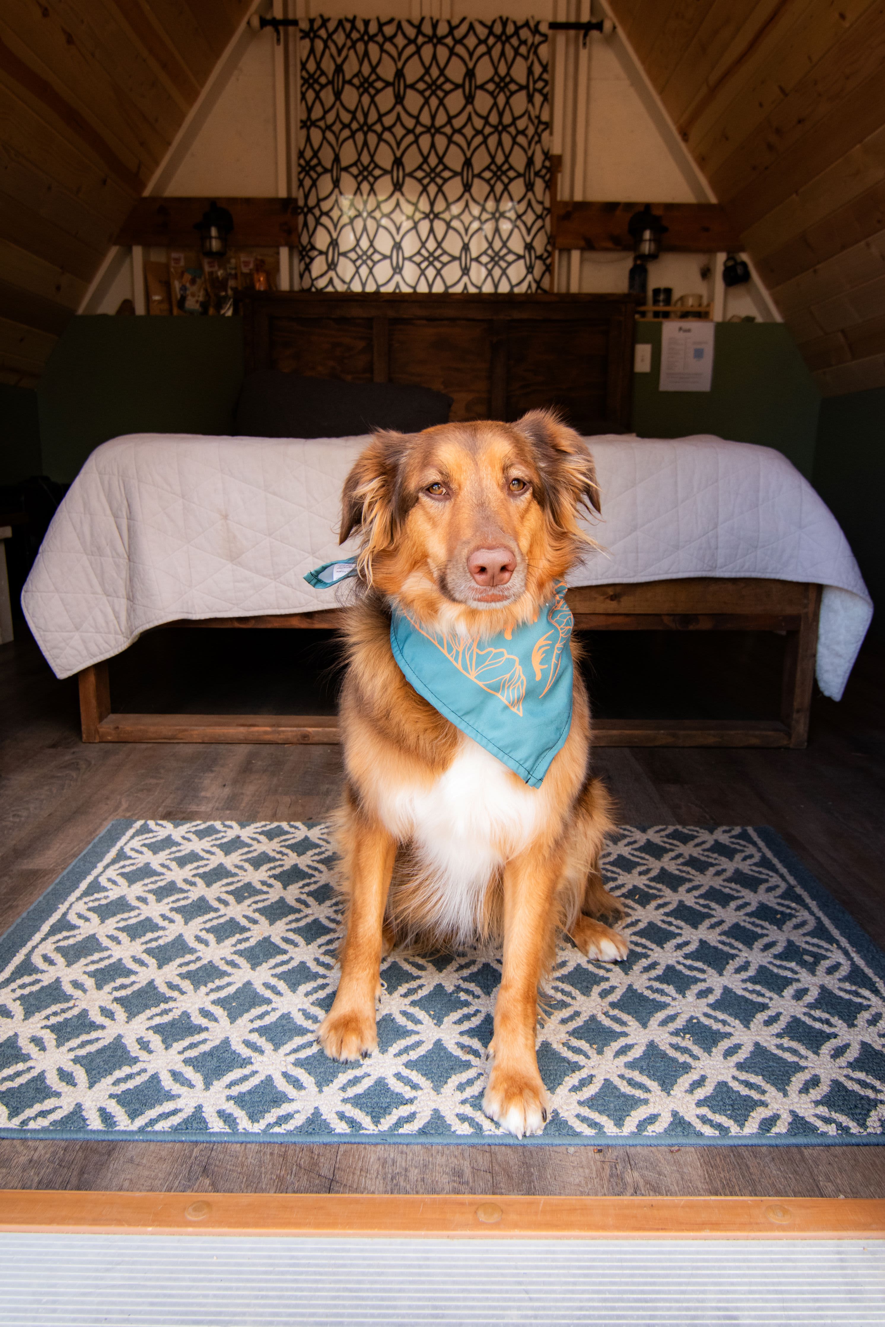 Stanley RV + Basecamp Lodge