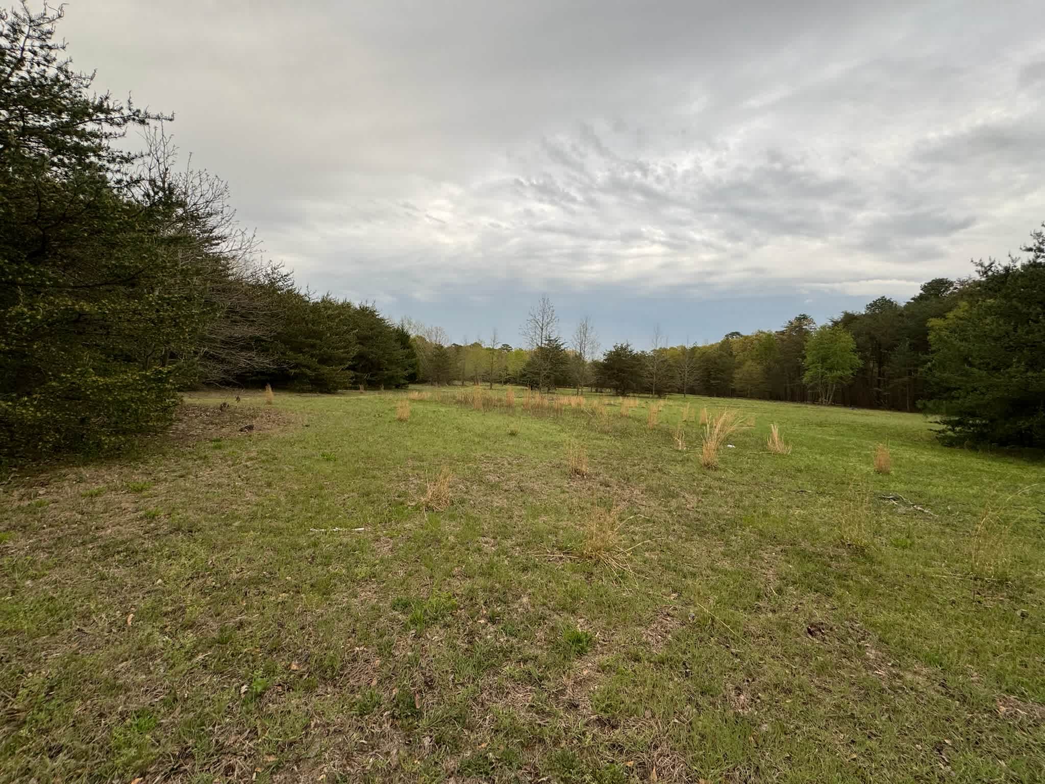 Choptank Farmhouse - Horses Allowed
