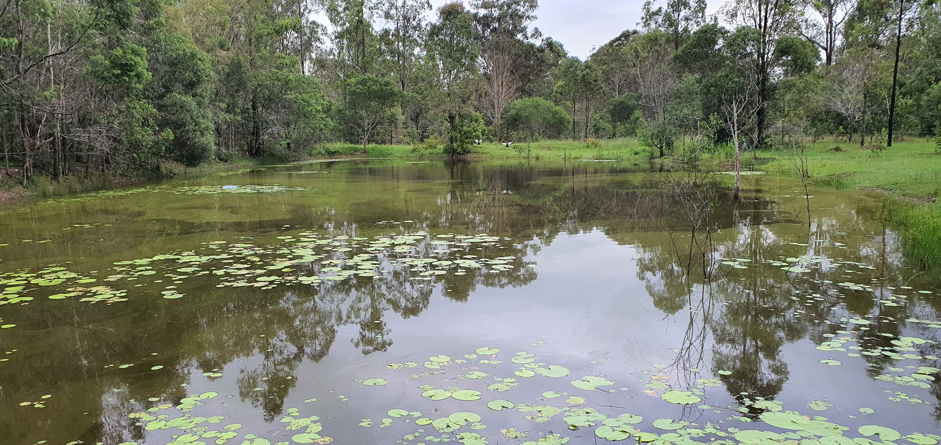 Haigslea Bush Camp