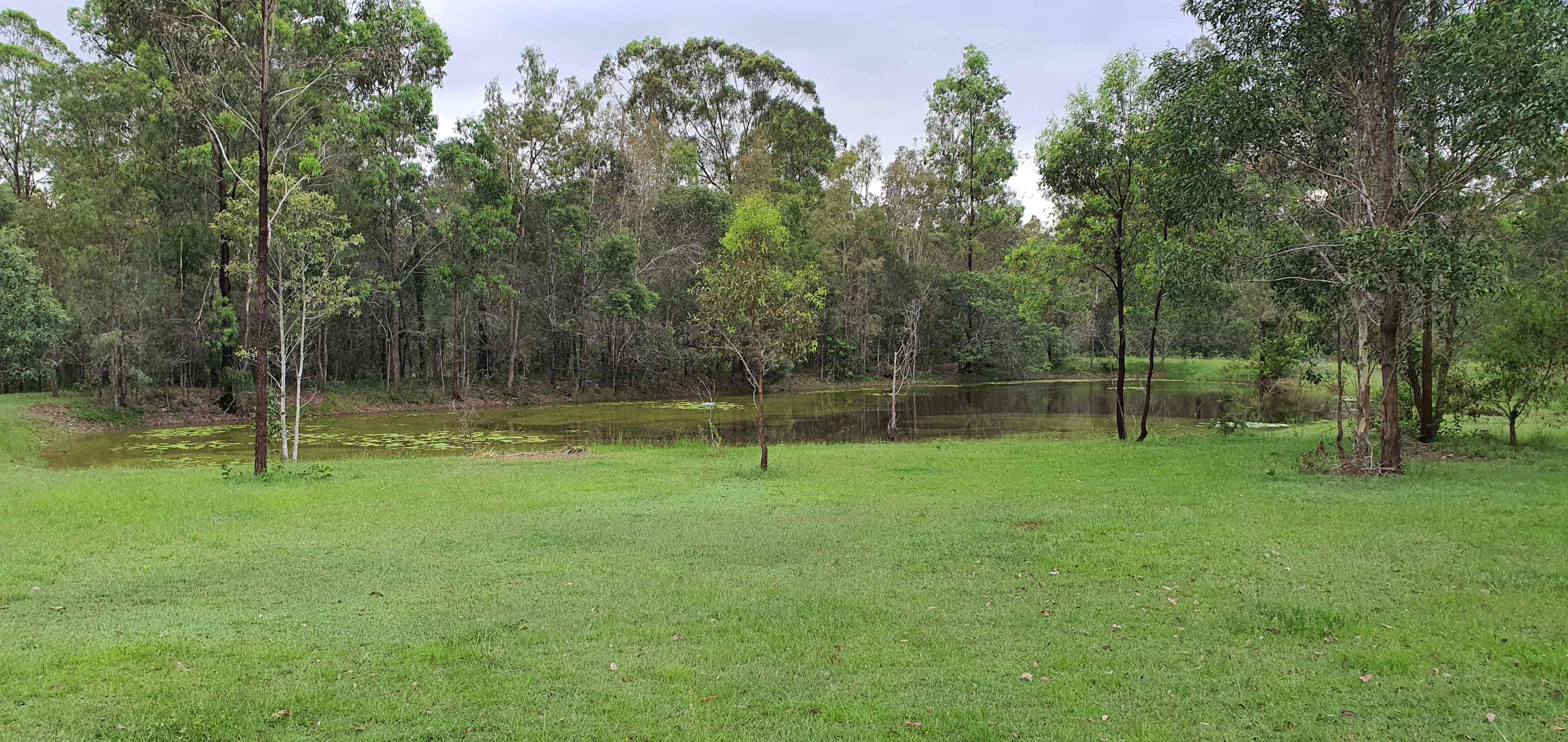 Haigslea Bush Camp