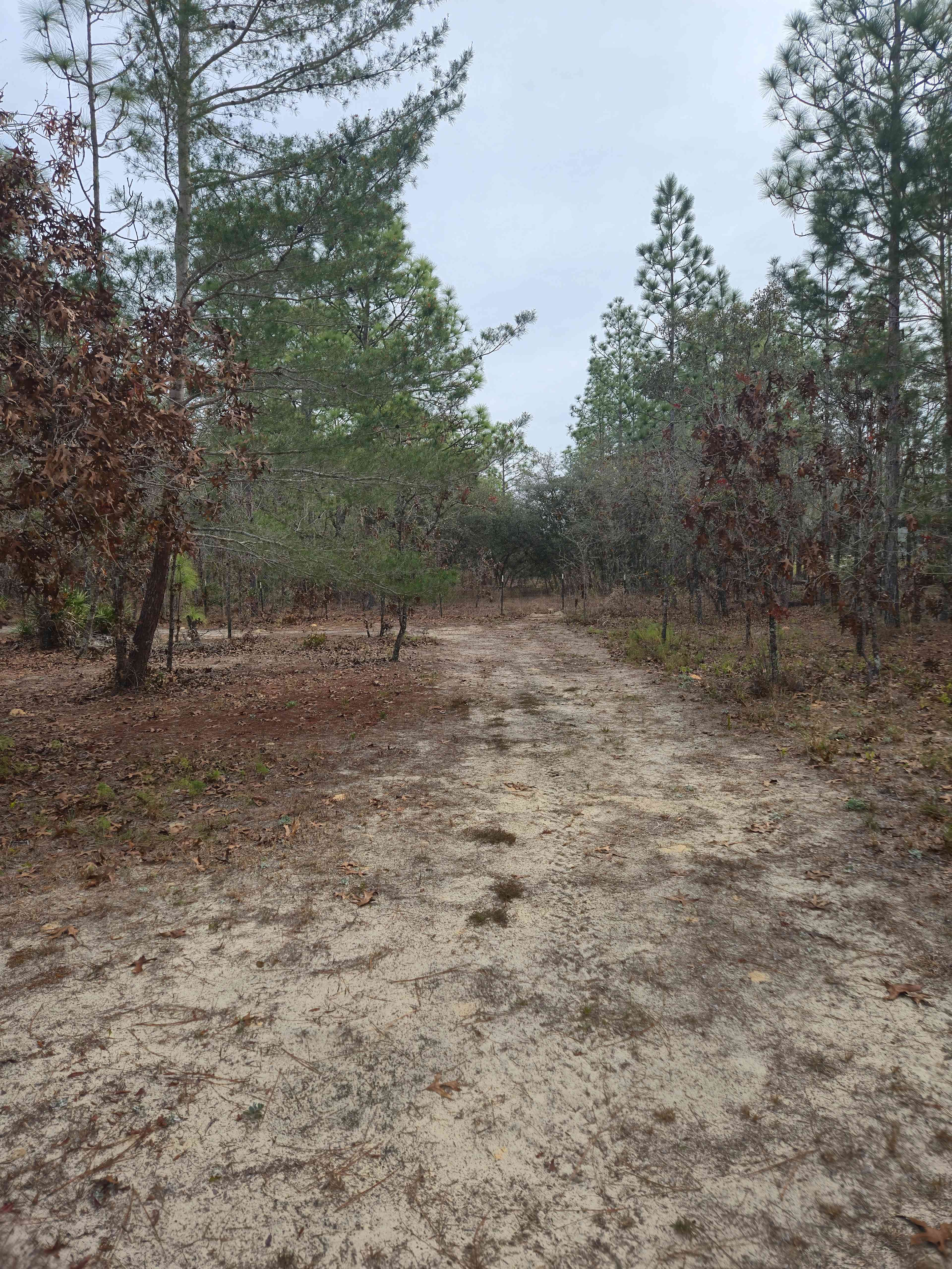 Camp Cavalier