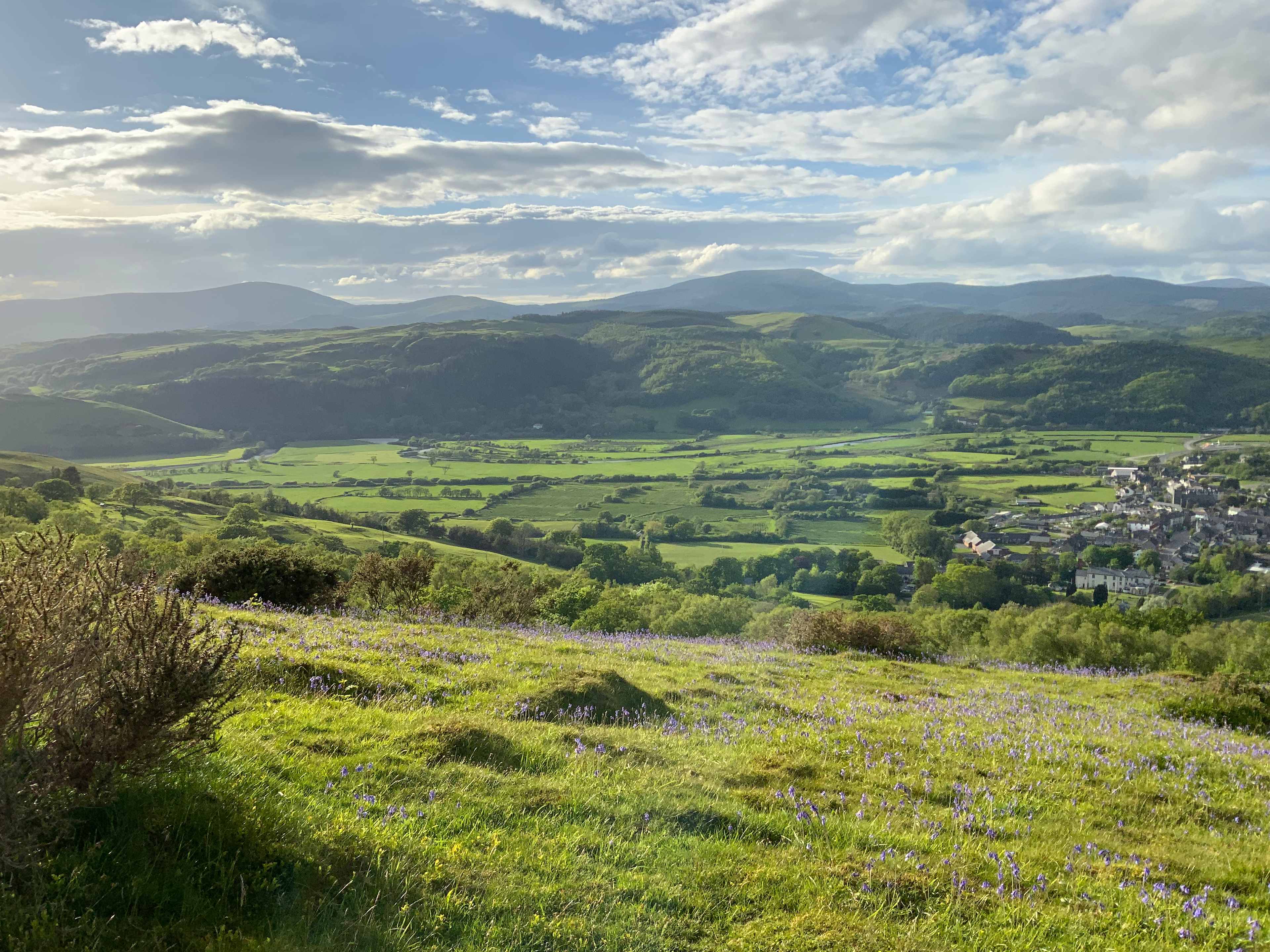 Gwersyllfa Glyndŵr Campsite
