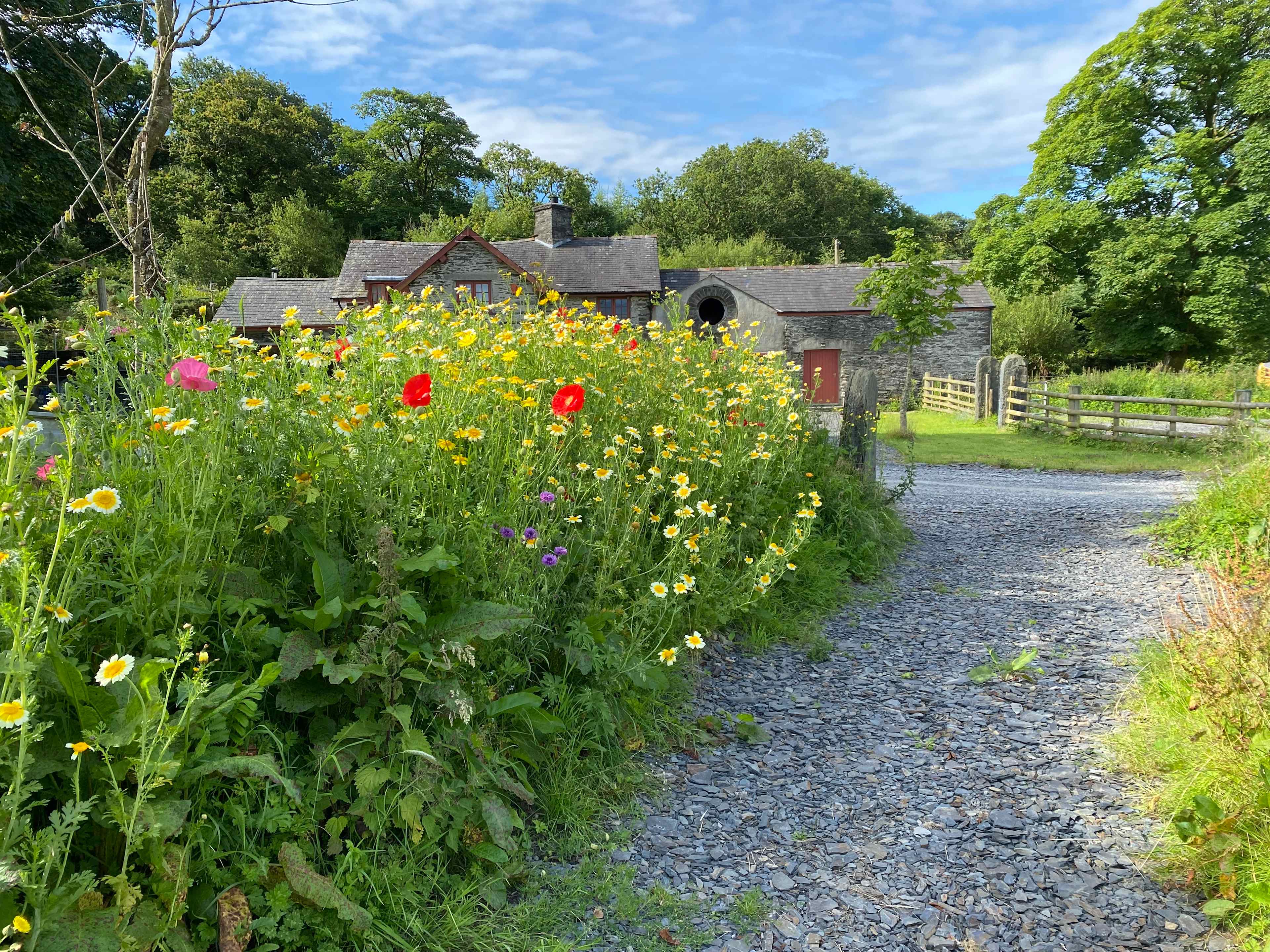 Gwersyllfa Glyndŵr Campsite