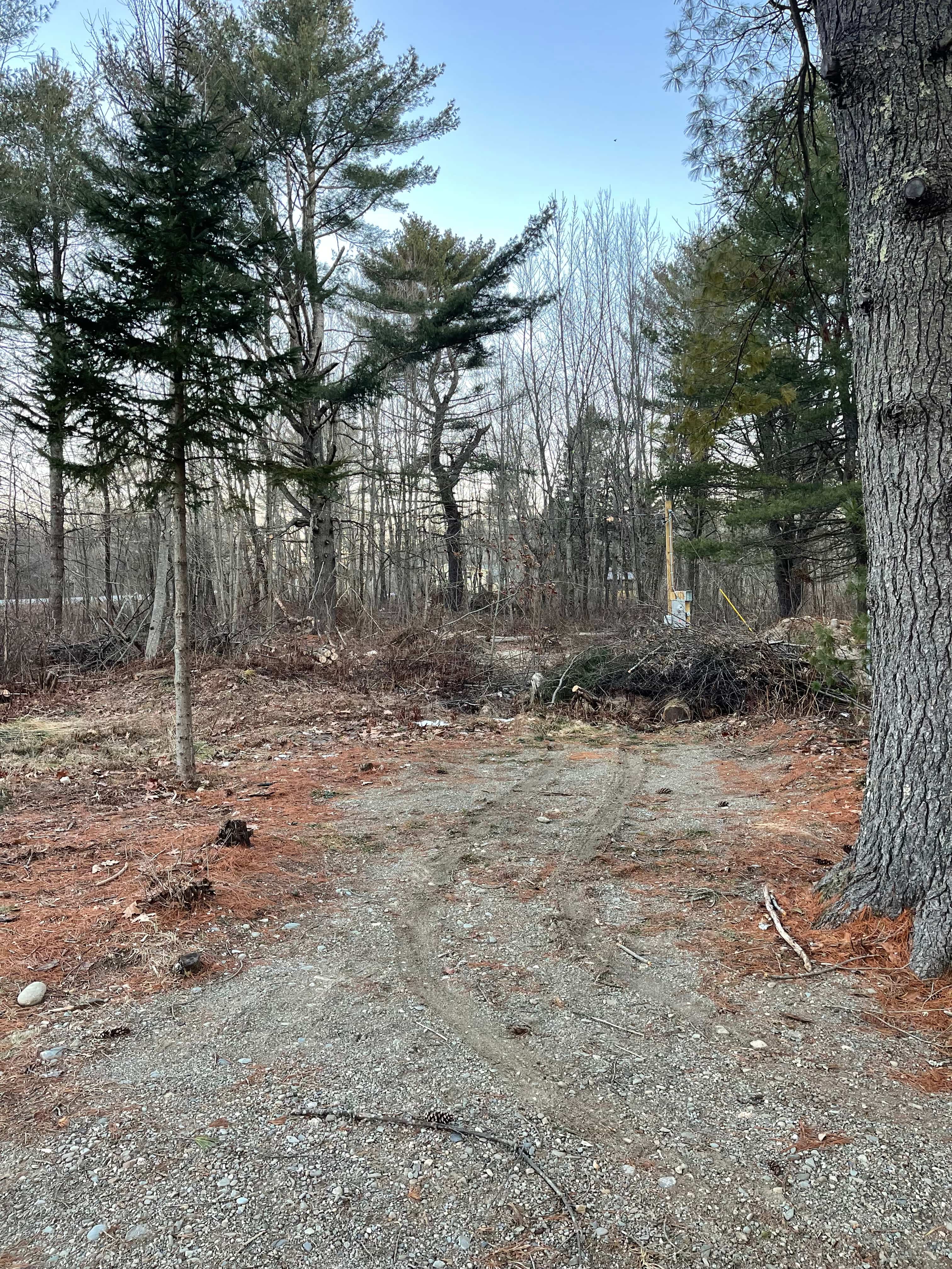 Feild View Paradise Campground