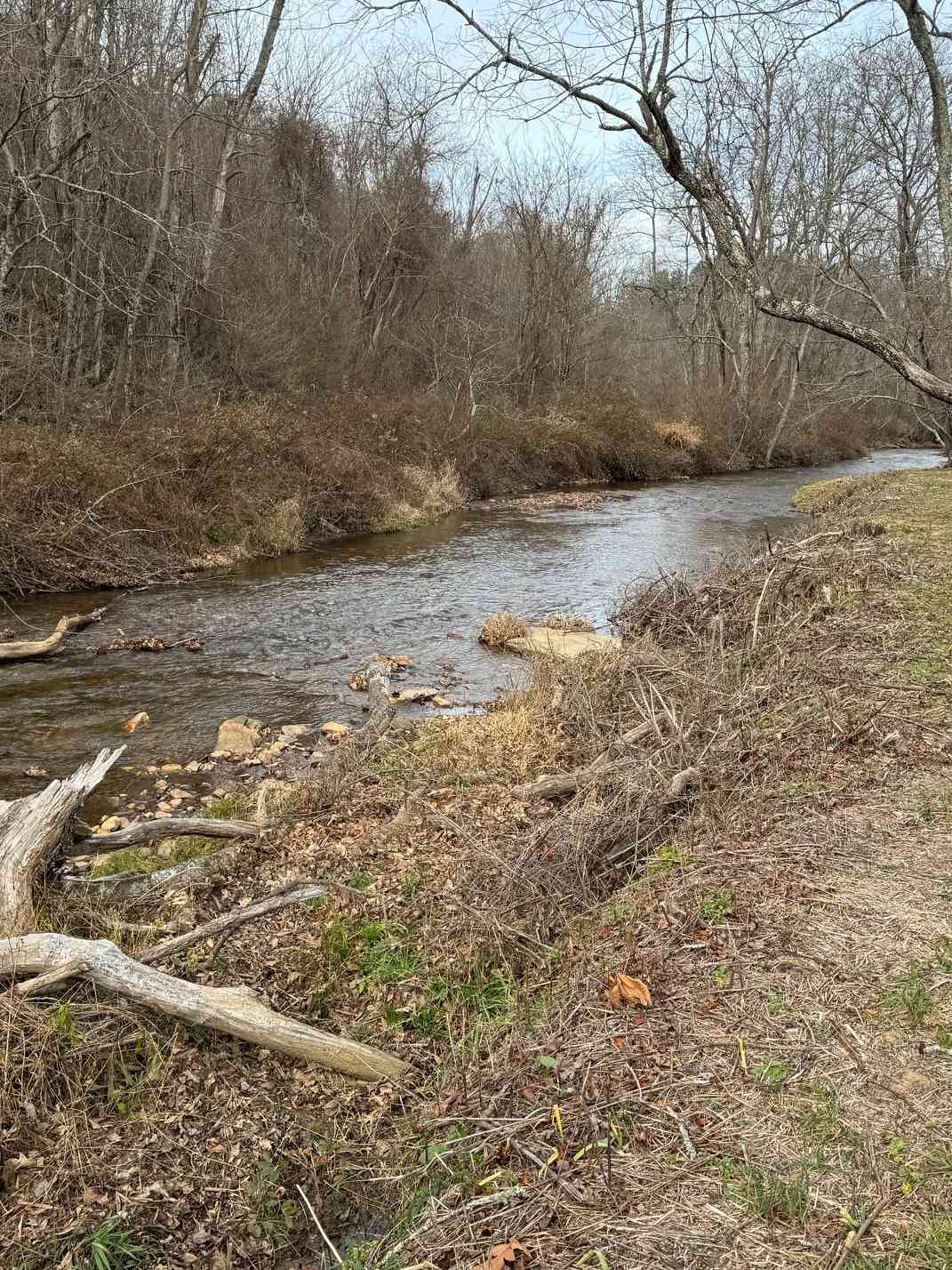 Creekside campsites
