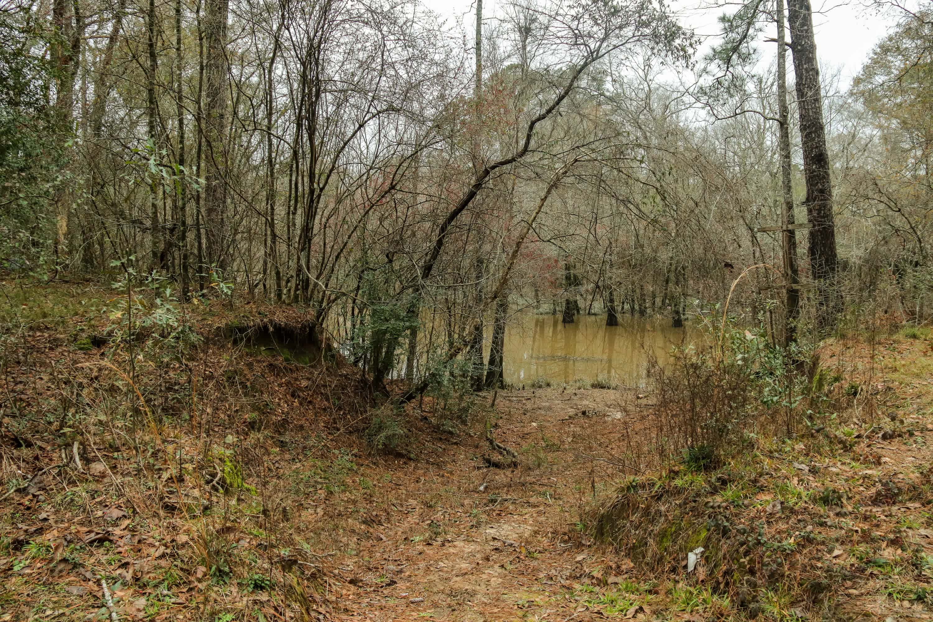 The Ark At Oxbow Lake