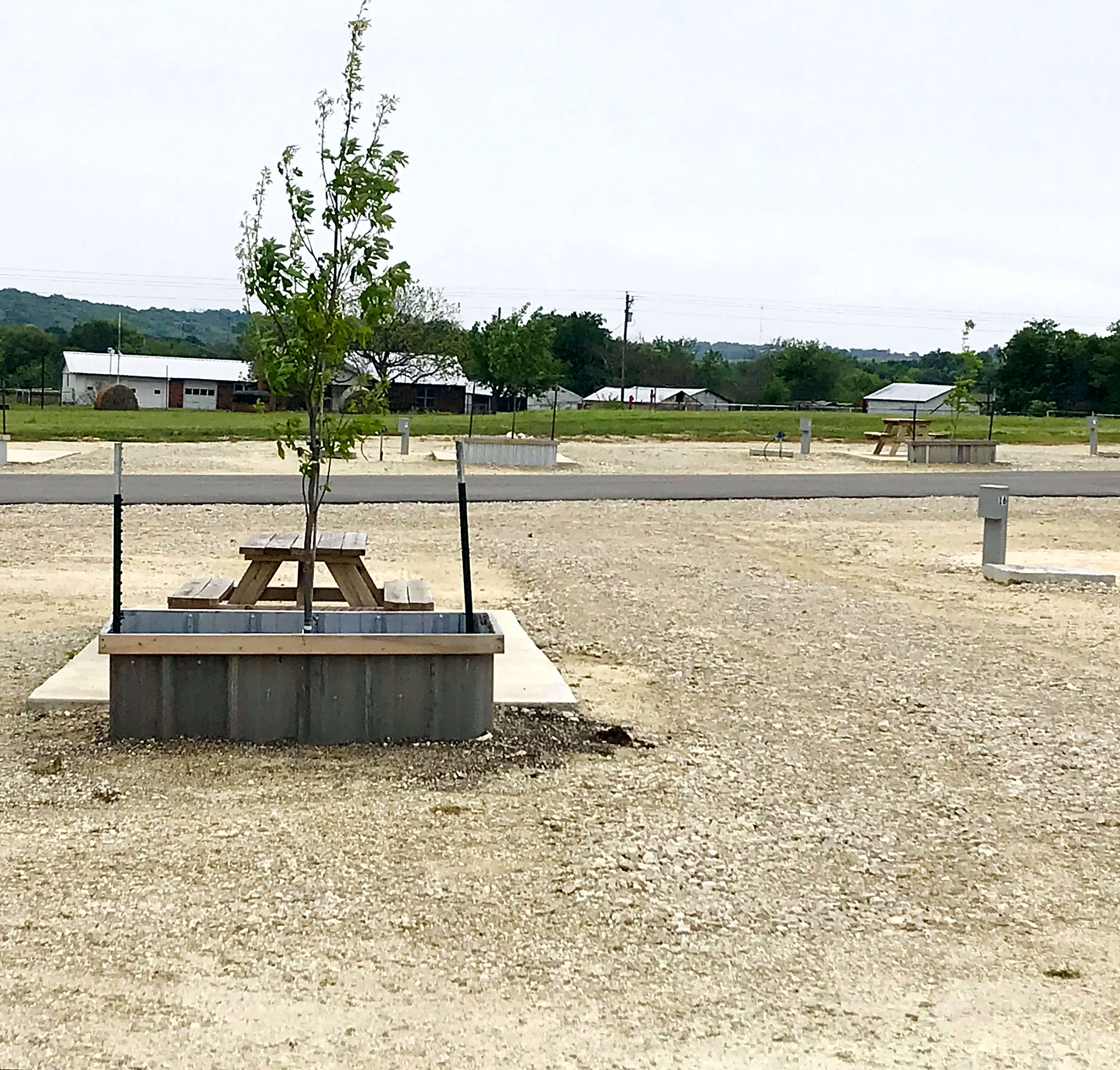 Buena Vista Wildlife Safarai and RV Park