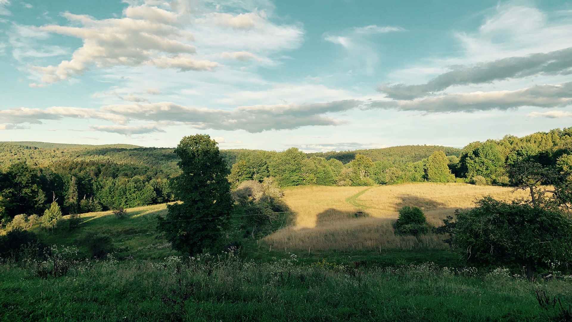 Headwaters Farm and Forest
