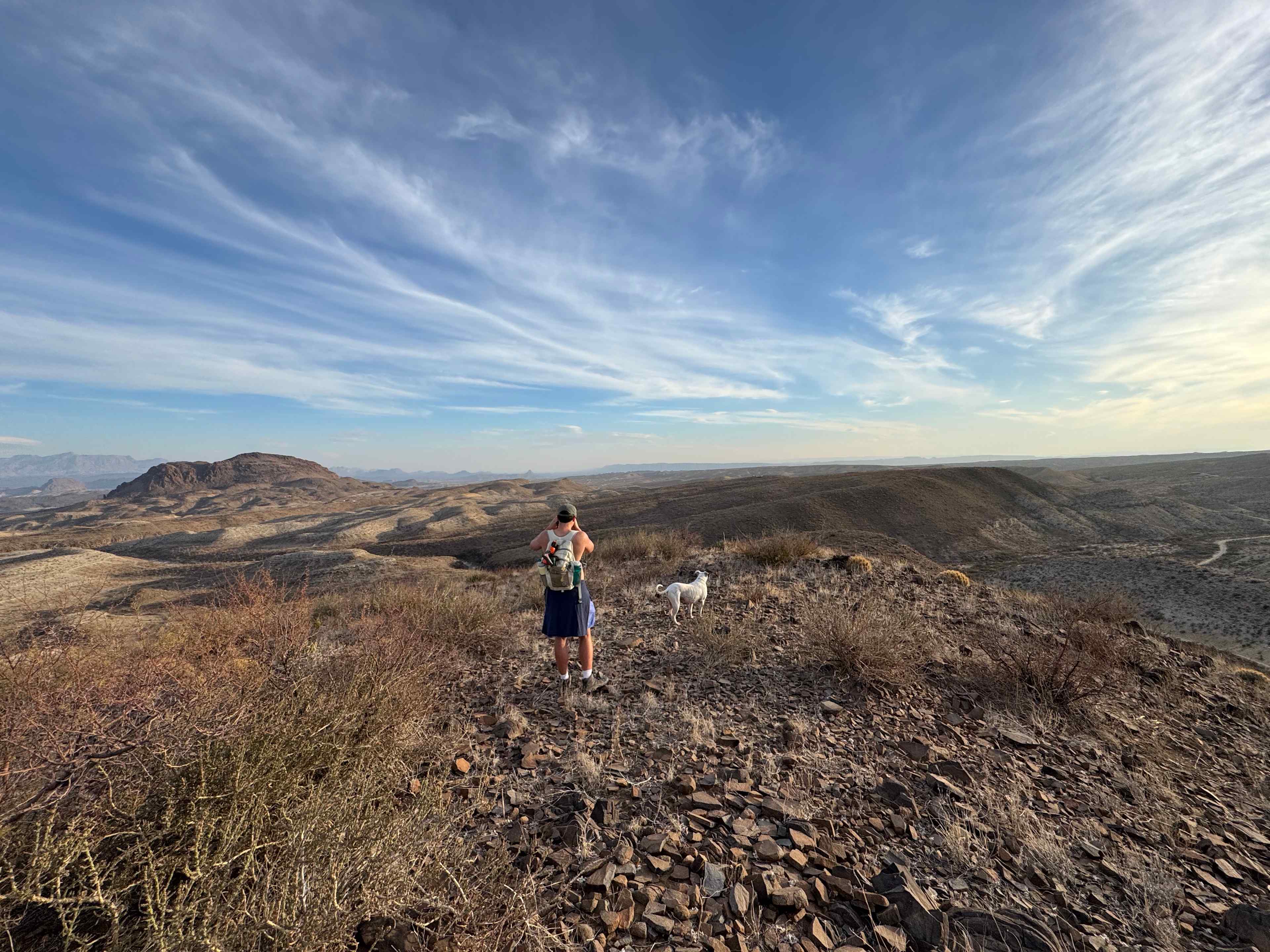 Terlingua Mountain Wildlife Camp