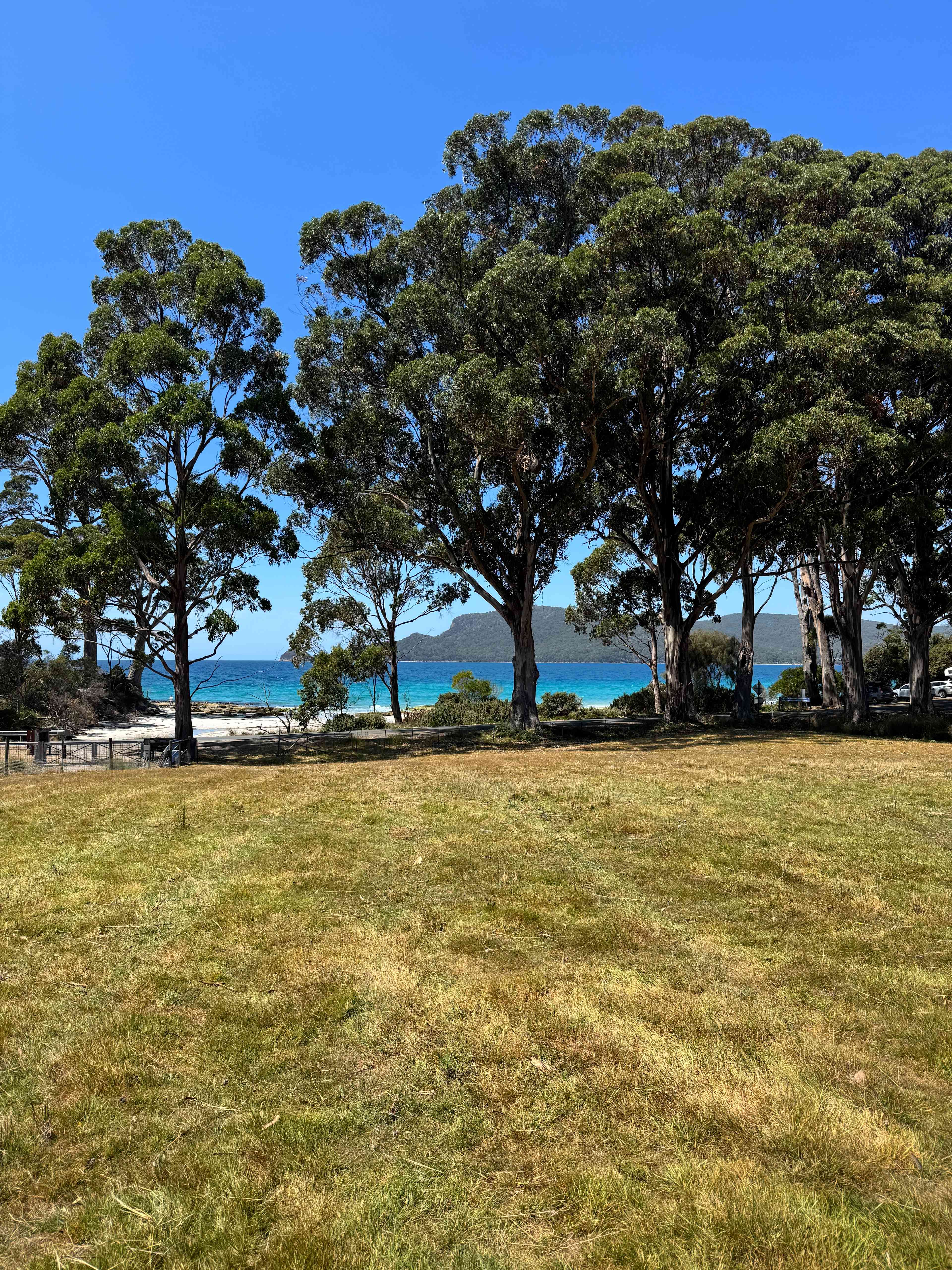 Resolution Farm - Beach Views