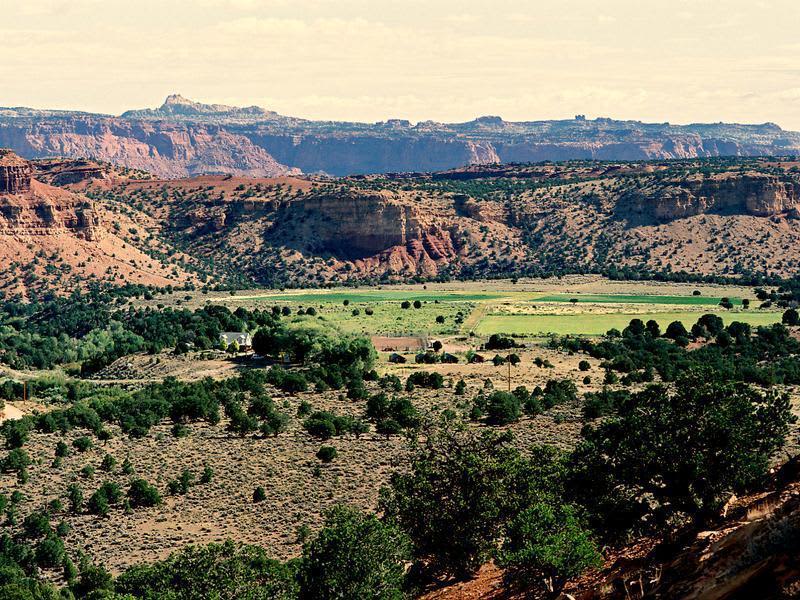 Cowboy Homestead Cabins at Capitol Reef