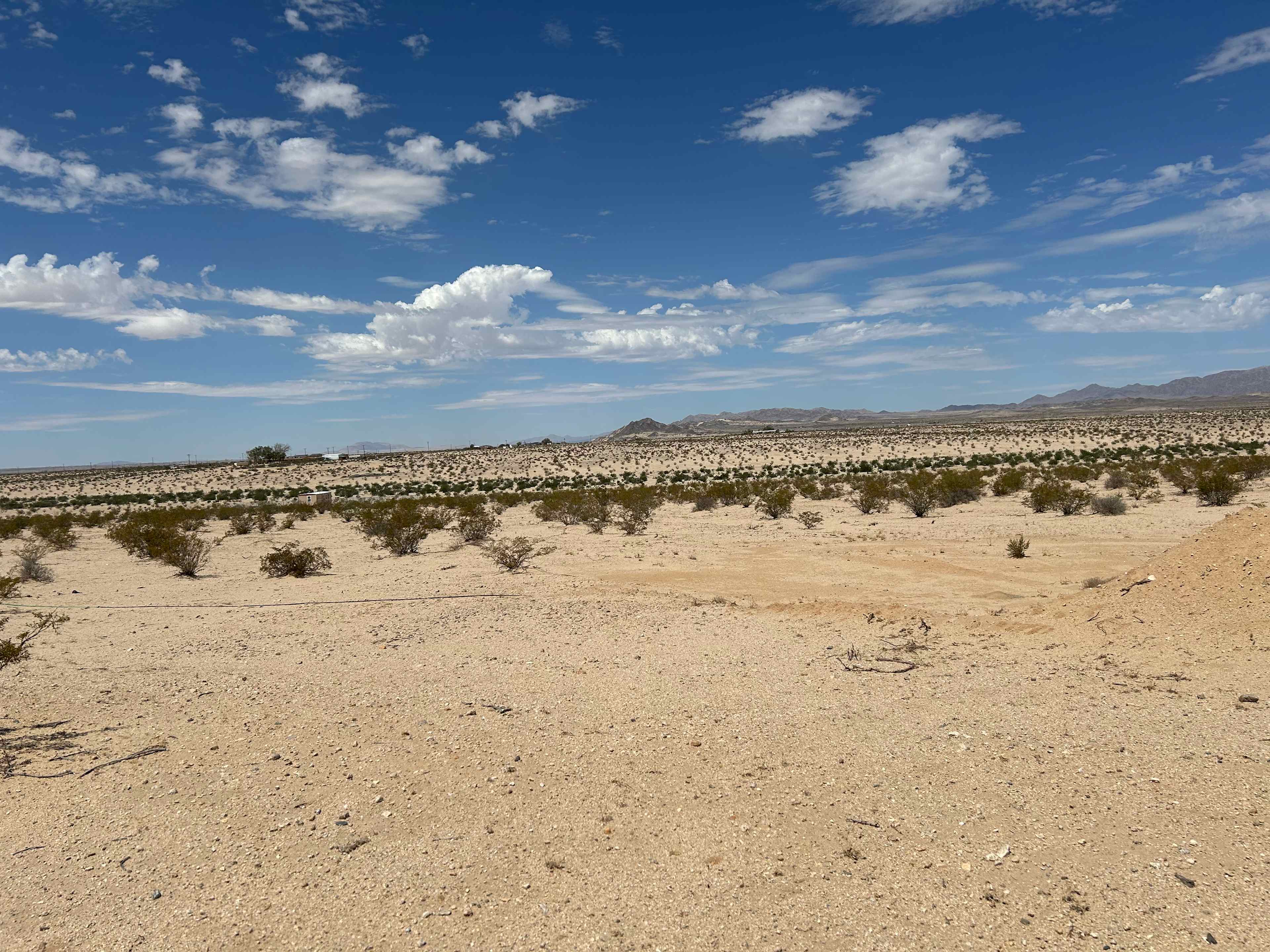 40 Acre Of Open Desert Oasis