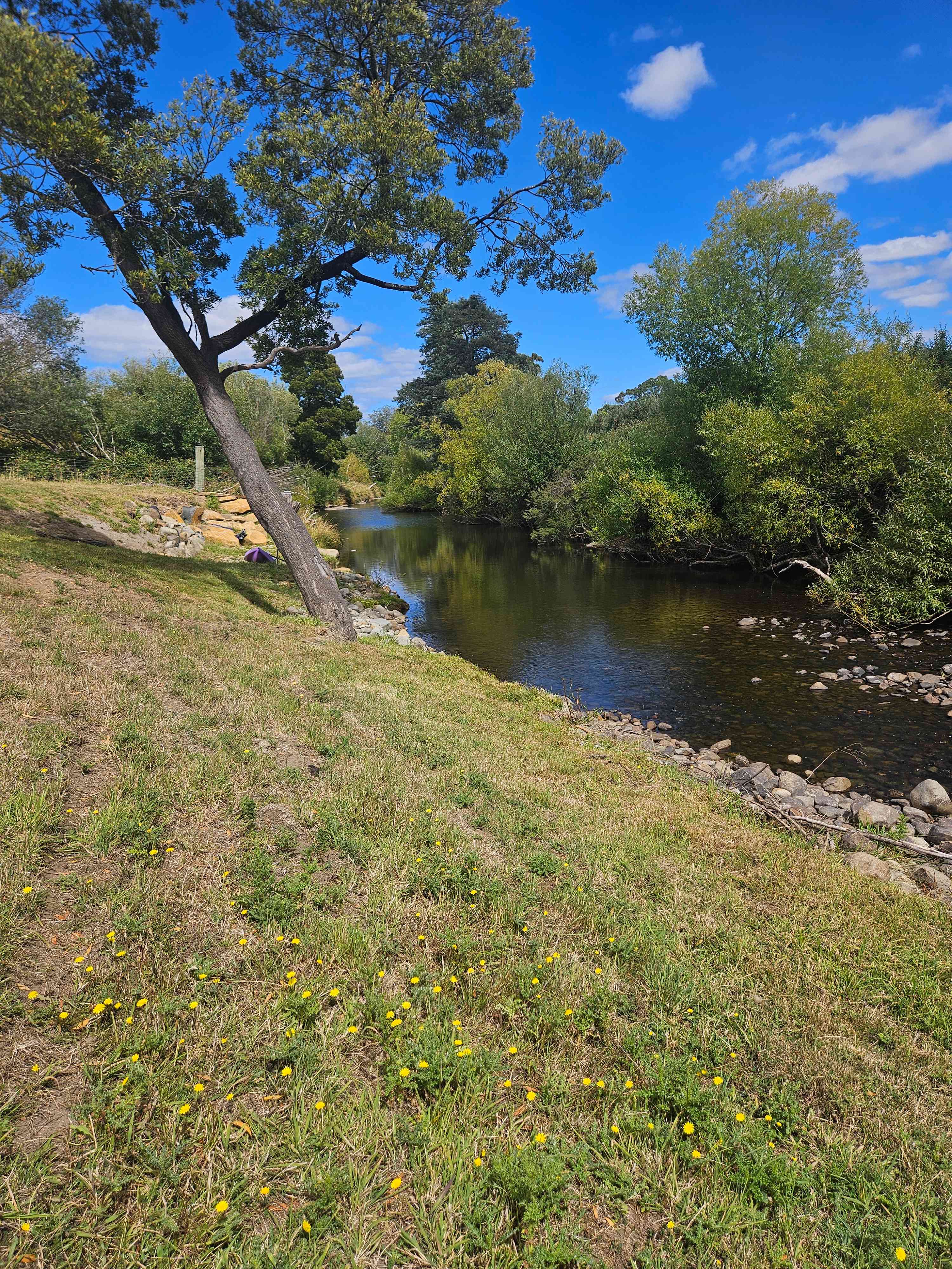 Huon Valley Riverside Camping