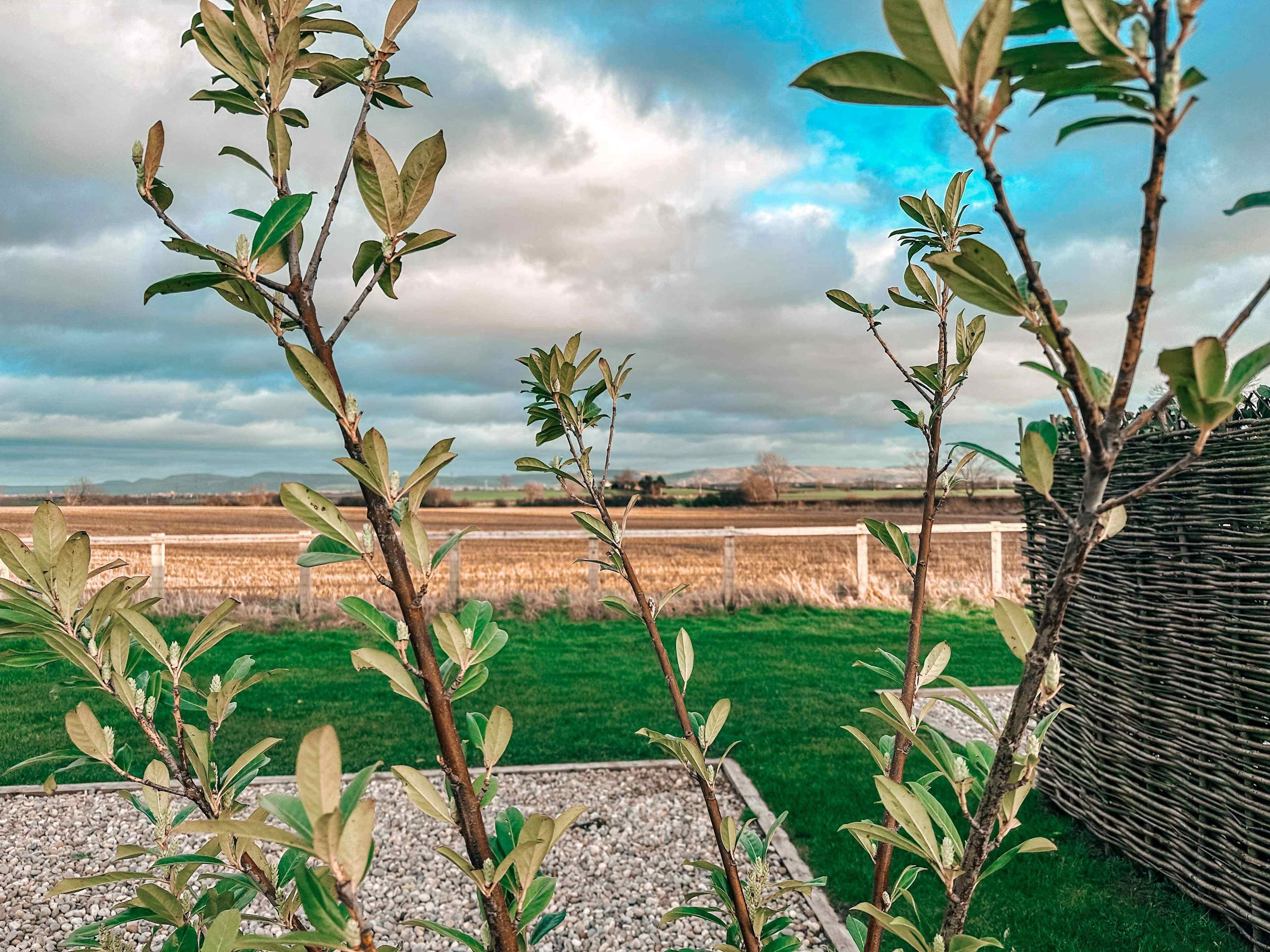 Roseacre Retreat - Adult Only