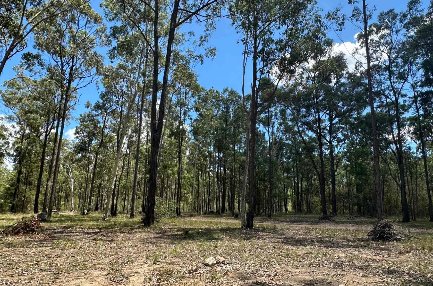 Ironbark Down