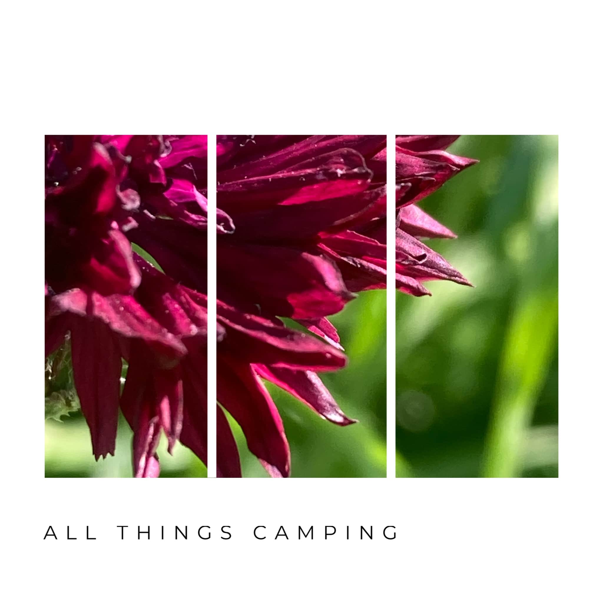 All Things Off Grid