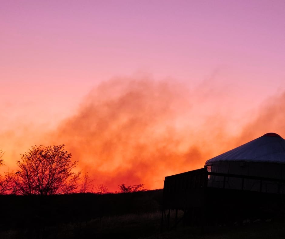 One of our Vista yurts at sunset.