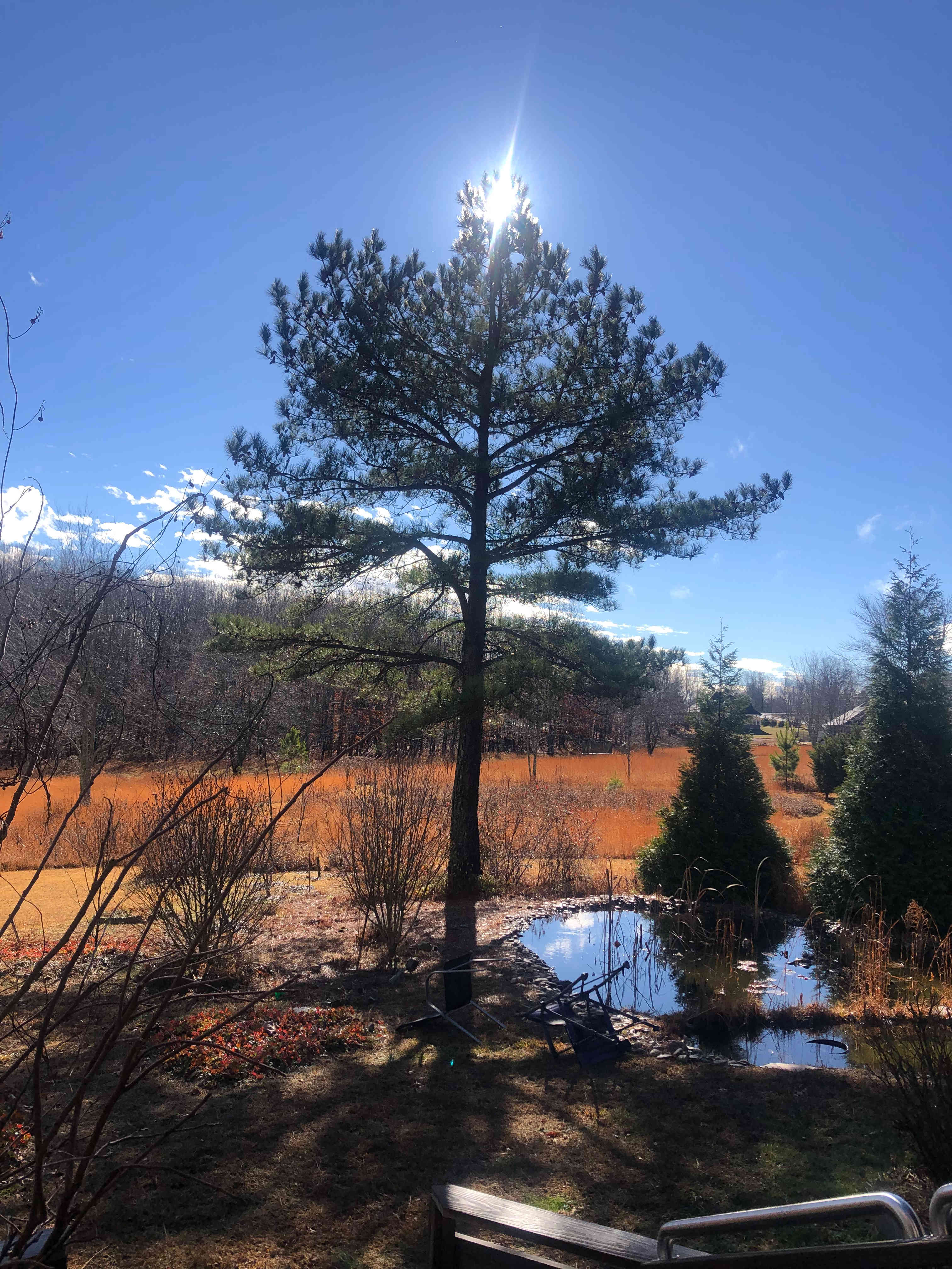 Uplifting Retreat at Swan Center TN