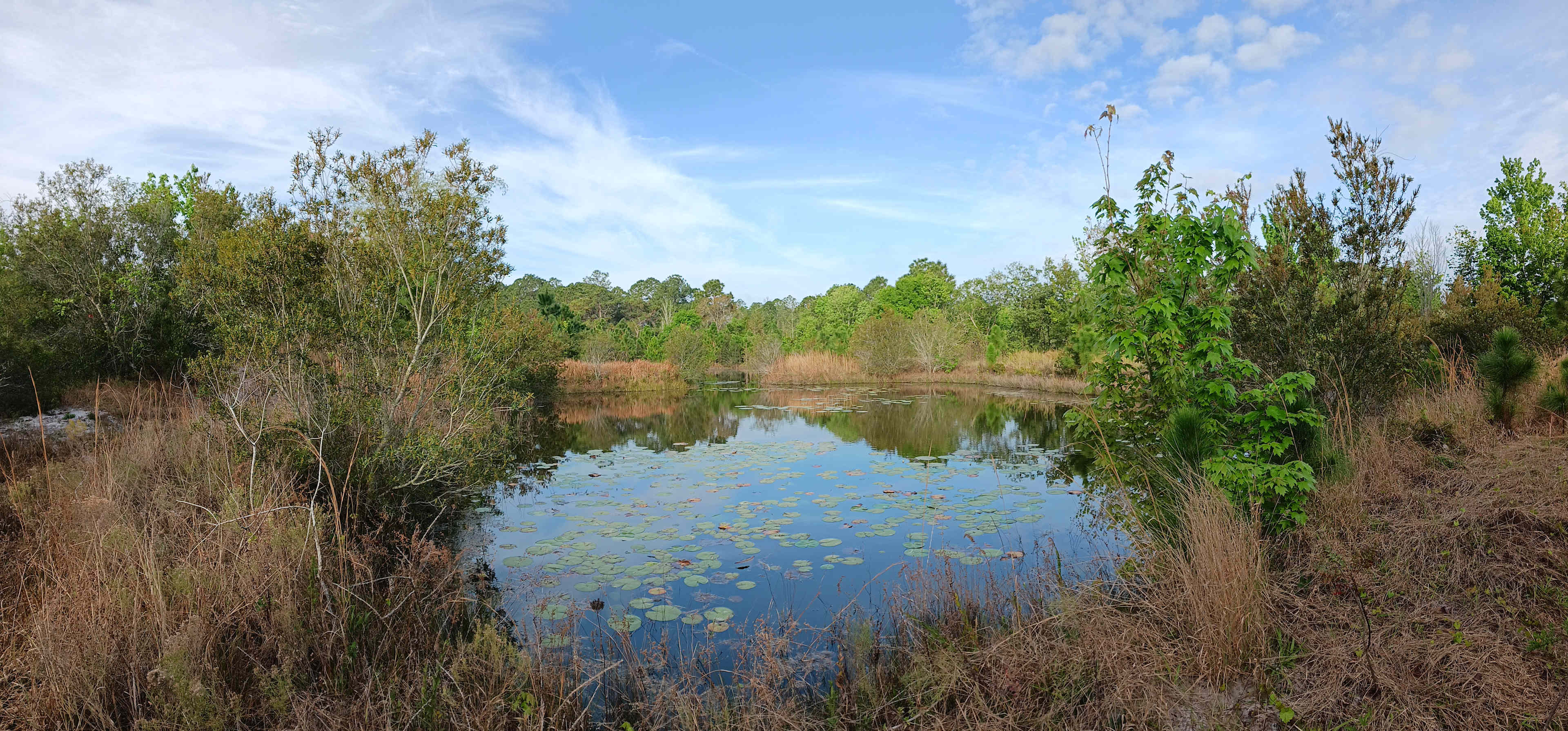 Wandering Waters