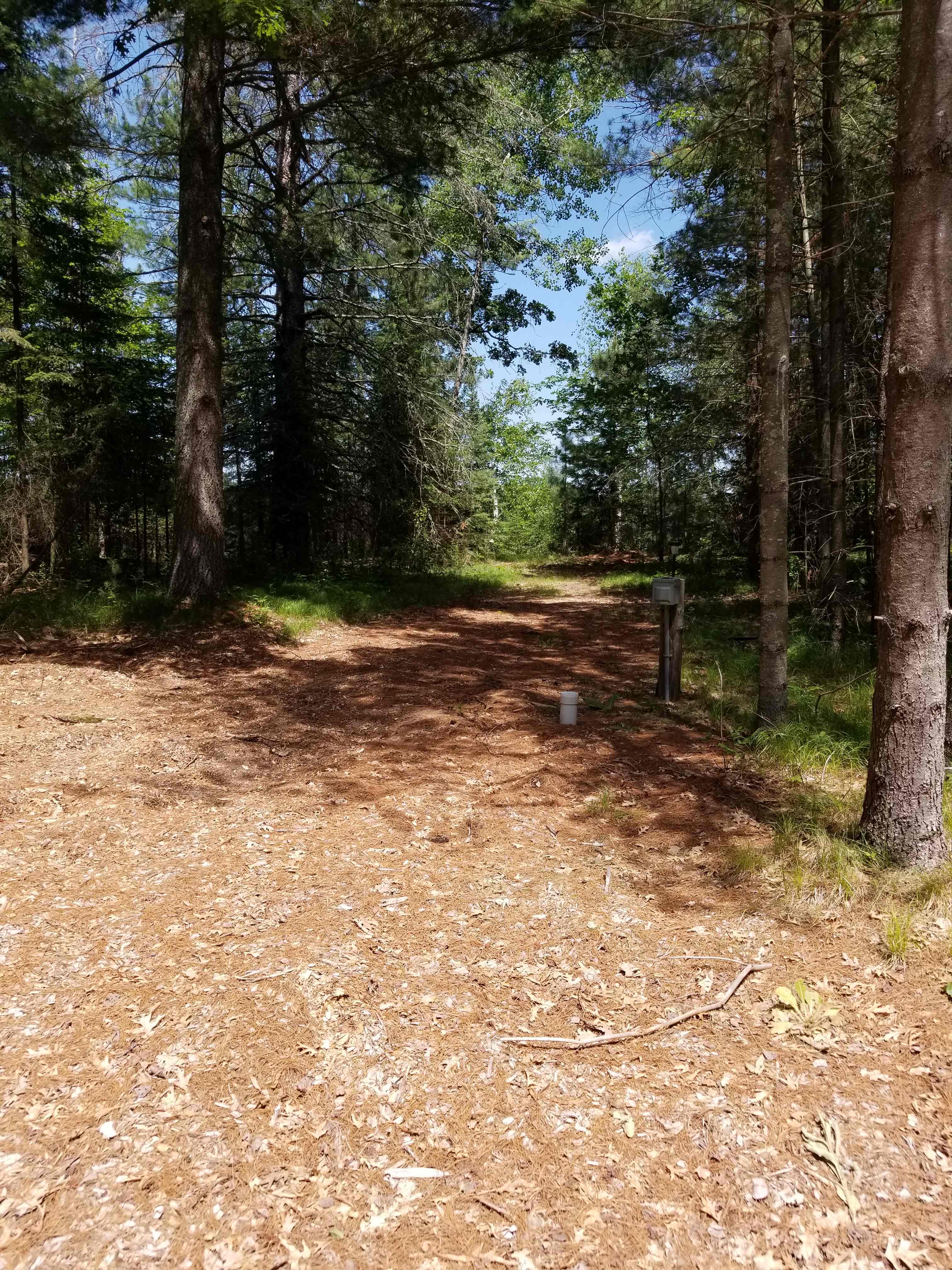 Lake Placid Family Reunion Camp
