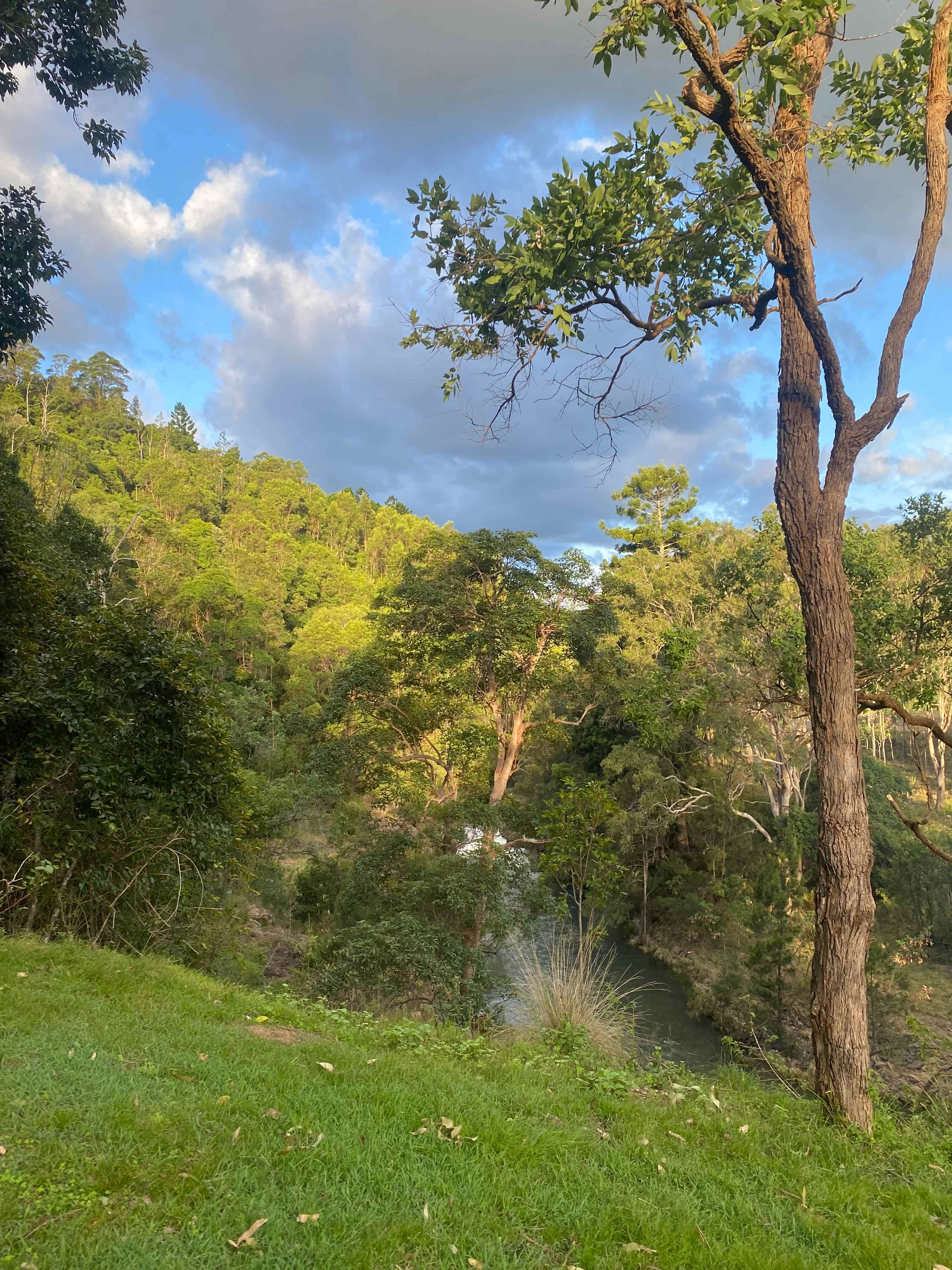 Andrew Drynan Park-Camp with a view