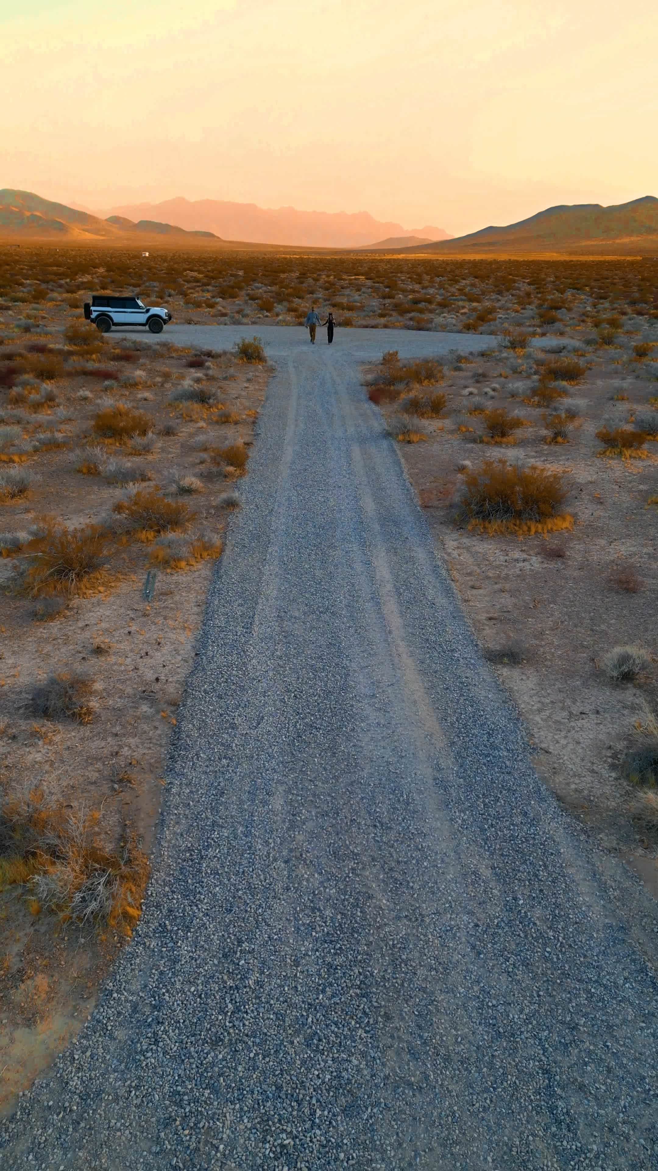 Dakota's Mojave Desert Oasis