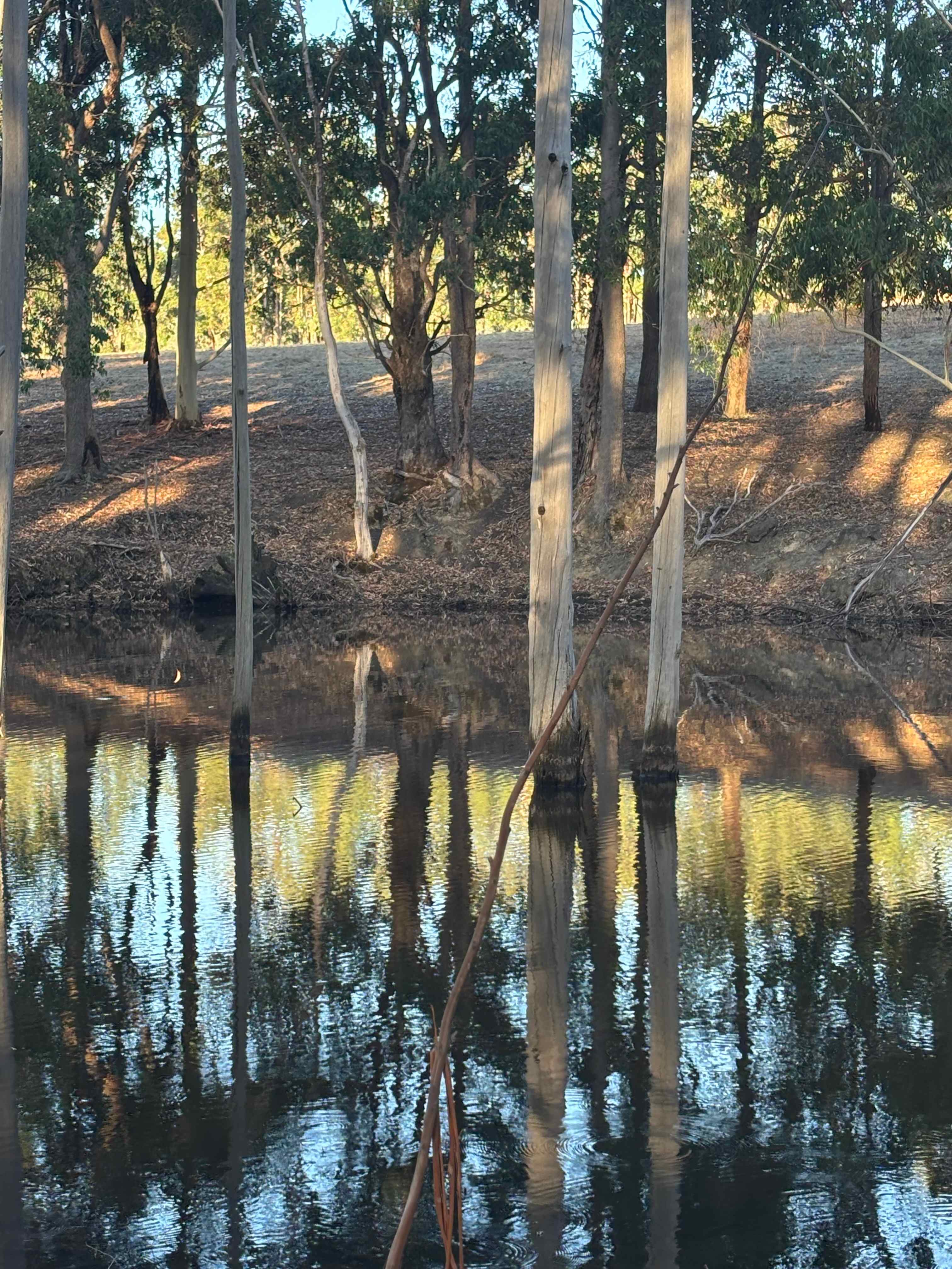 La Fiumara Olive Farm